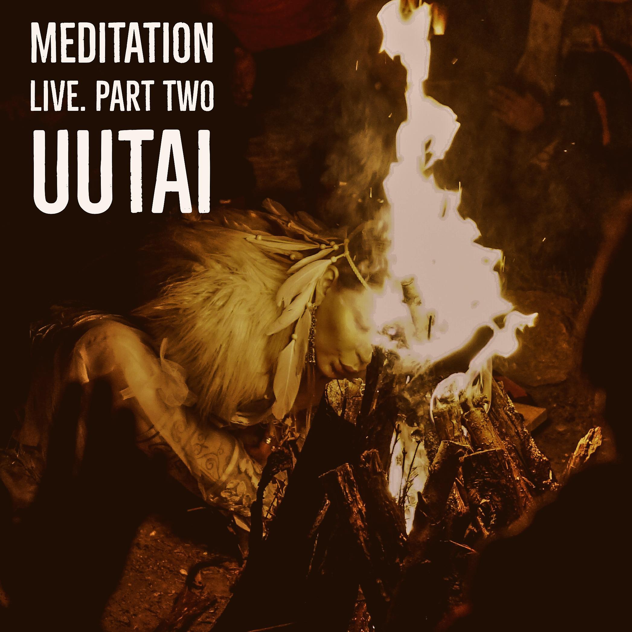 Постер альбома Meditation. Live. Part Two