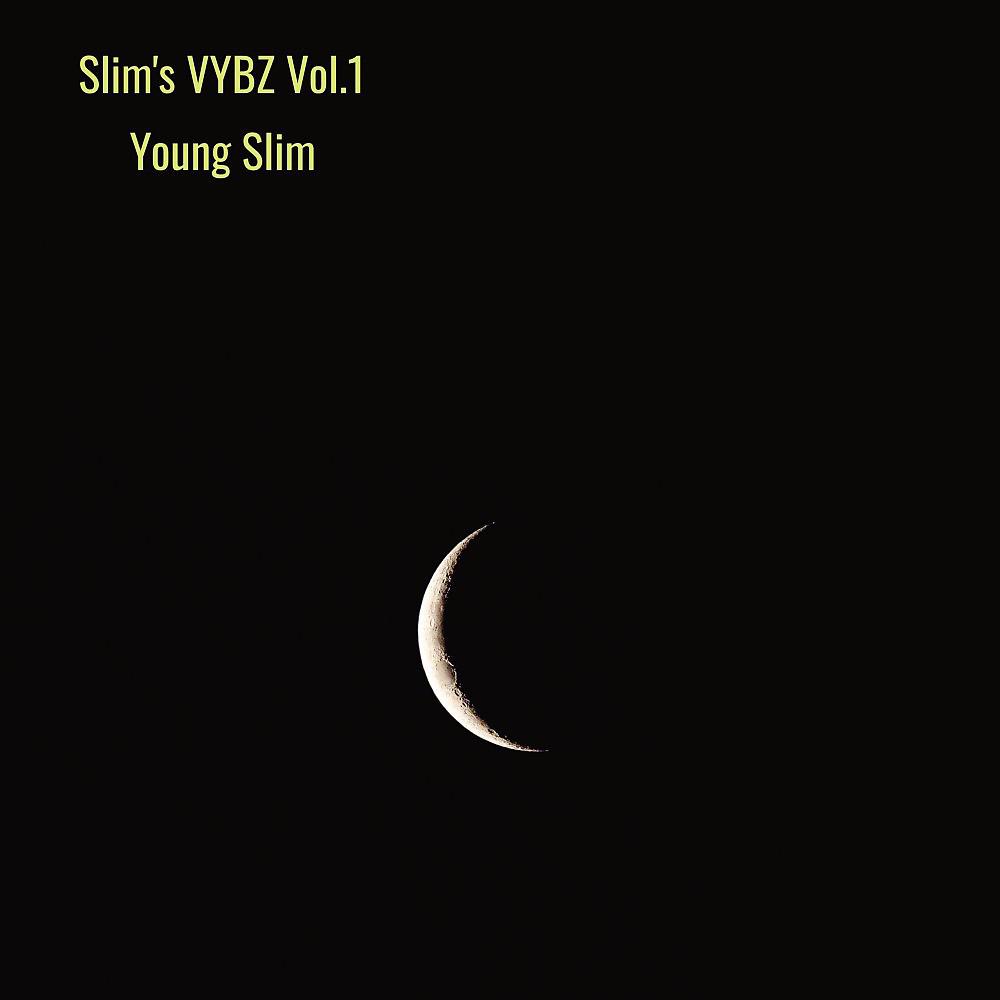 Постер альбома Slim's Vybz, Vol. 1
