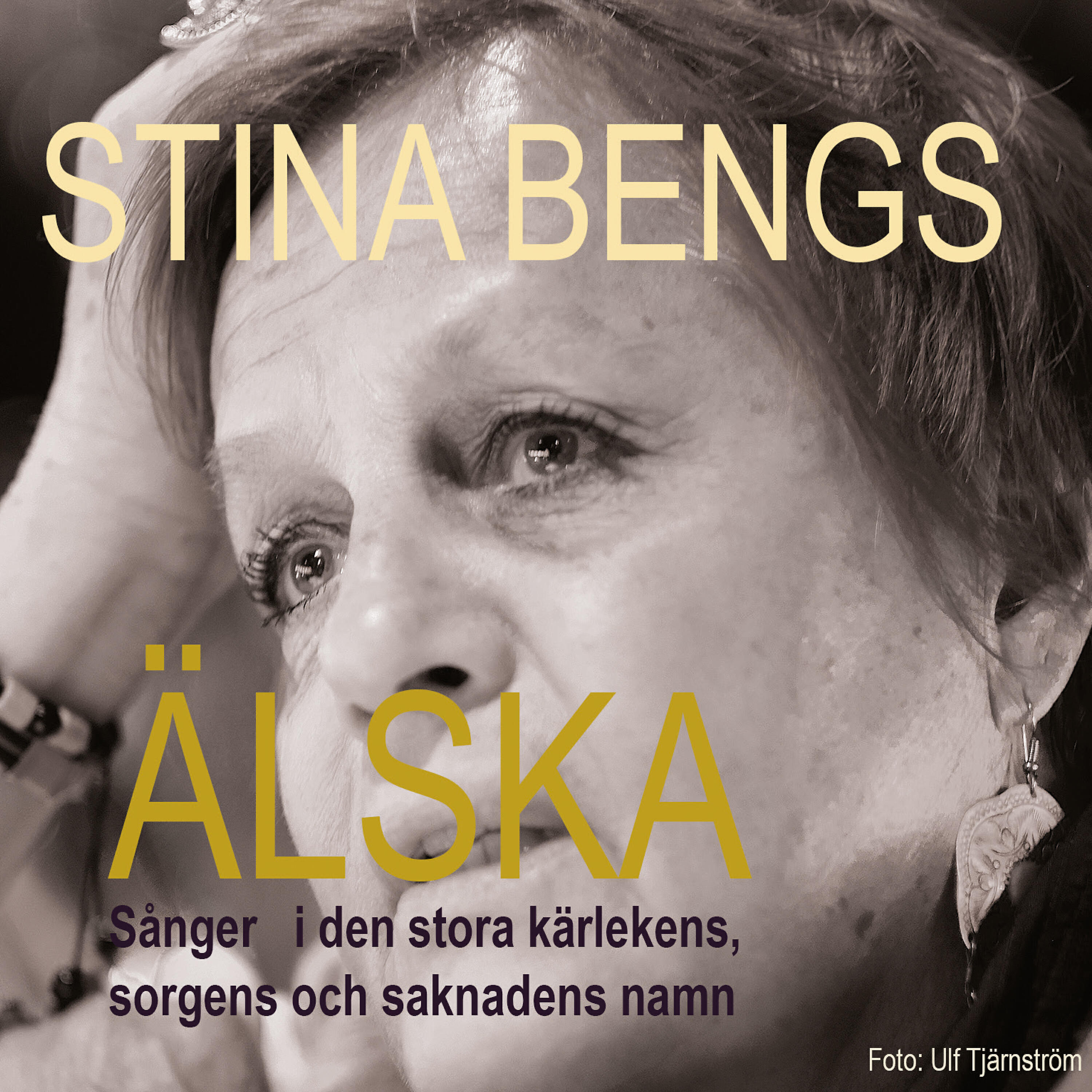 Stina Bengs - Du seglar iväg
