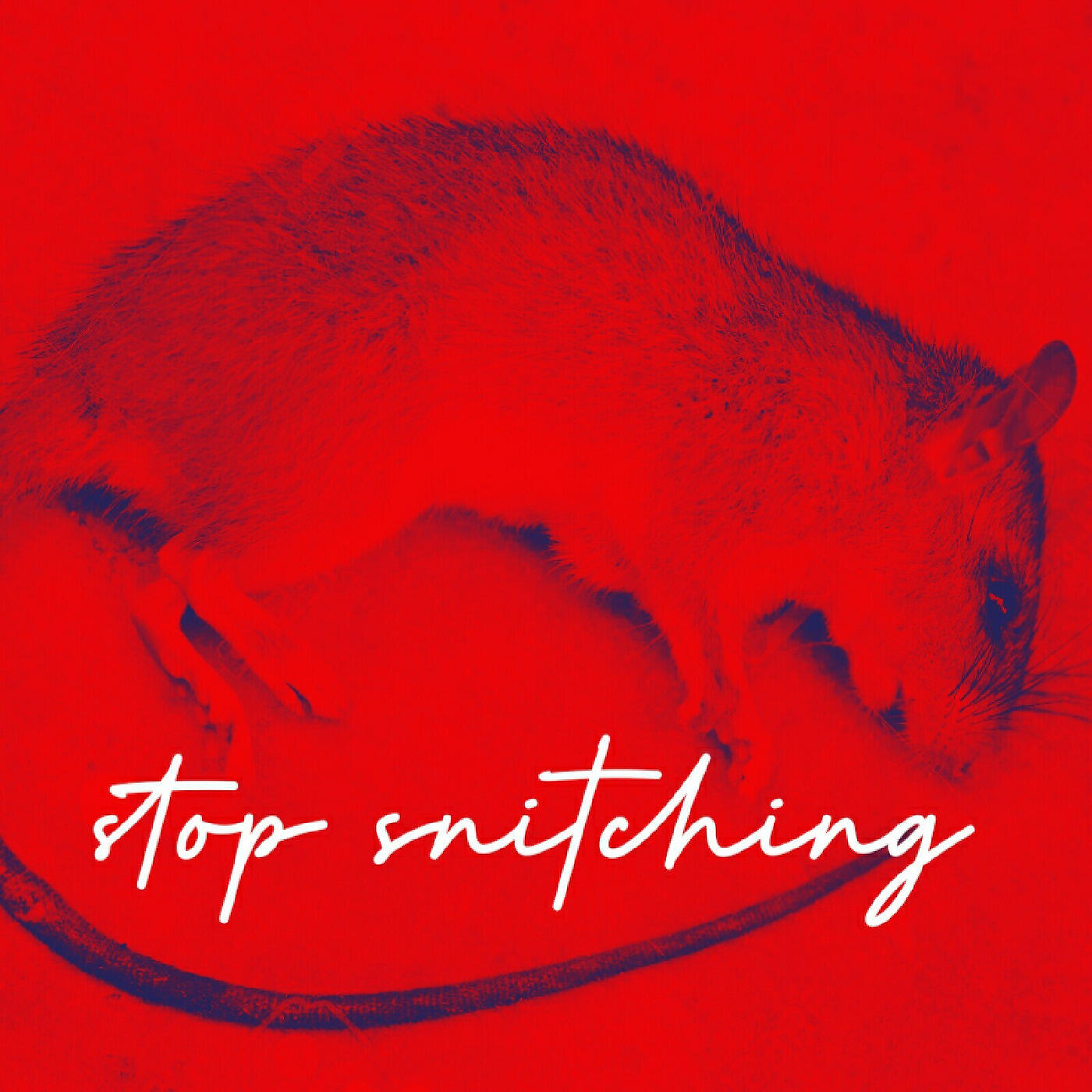 K Jizz - Stop Snitching
