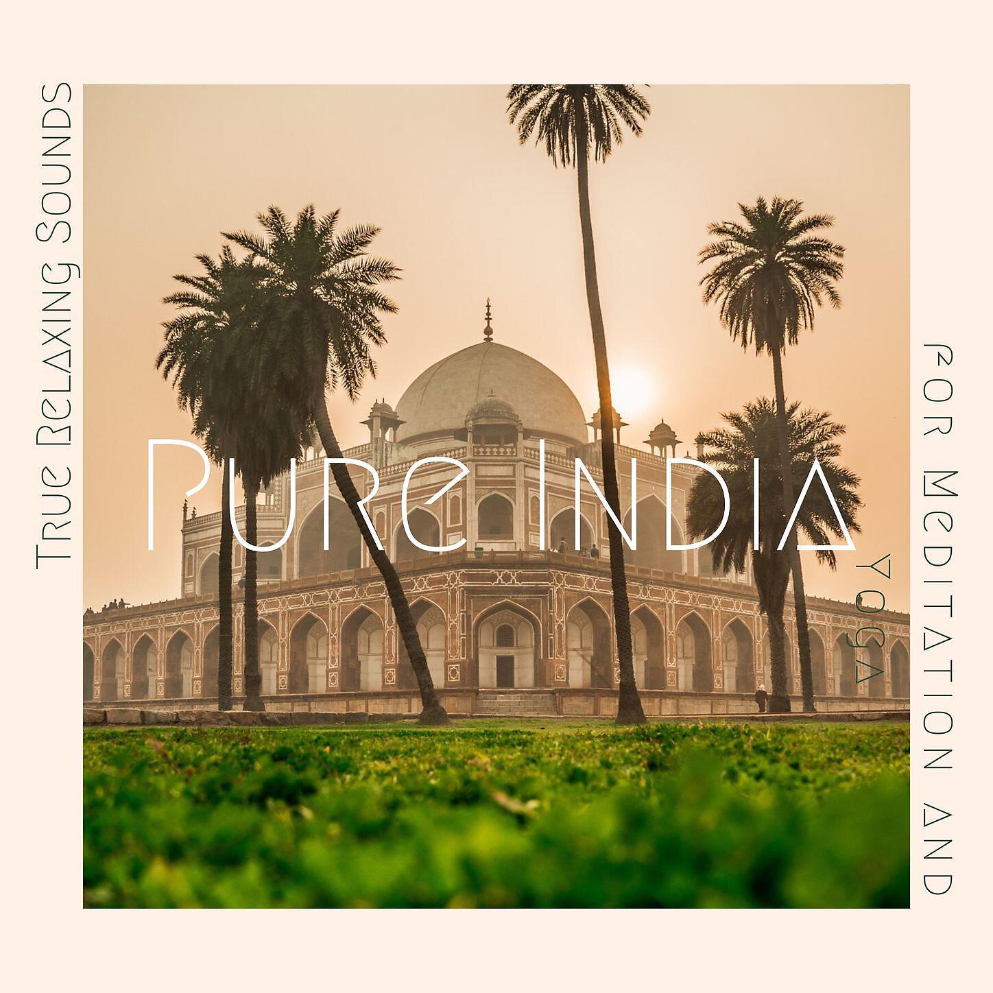 Indian Music Prime,New Age Music Station - Only the Mountains Remain