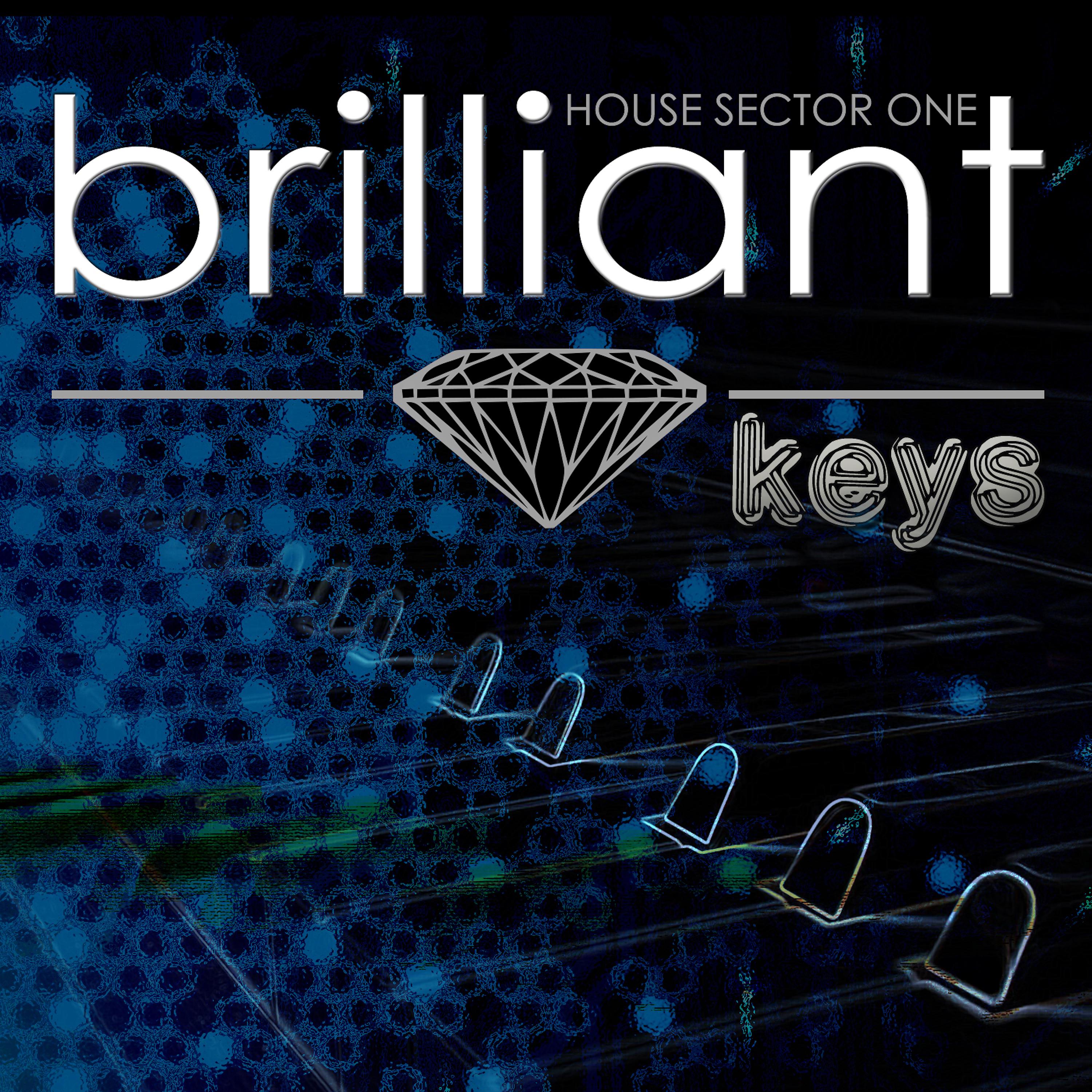 Постер альбома Brilliant Keys