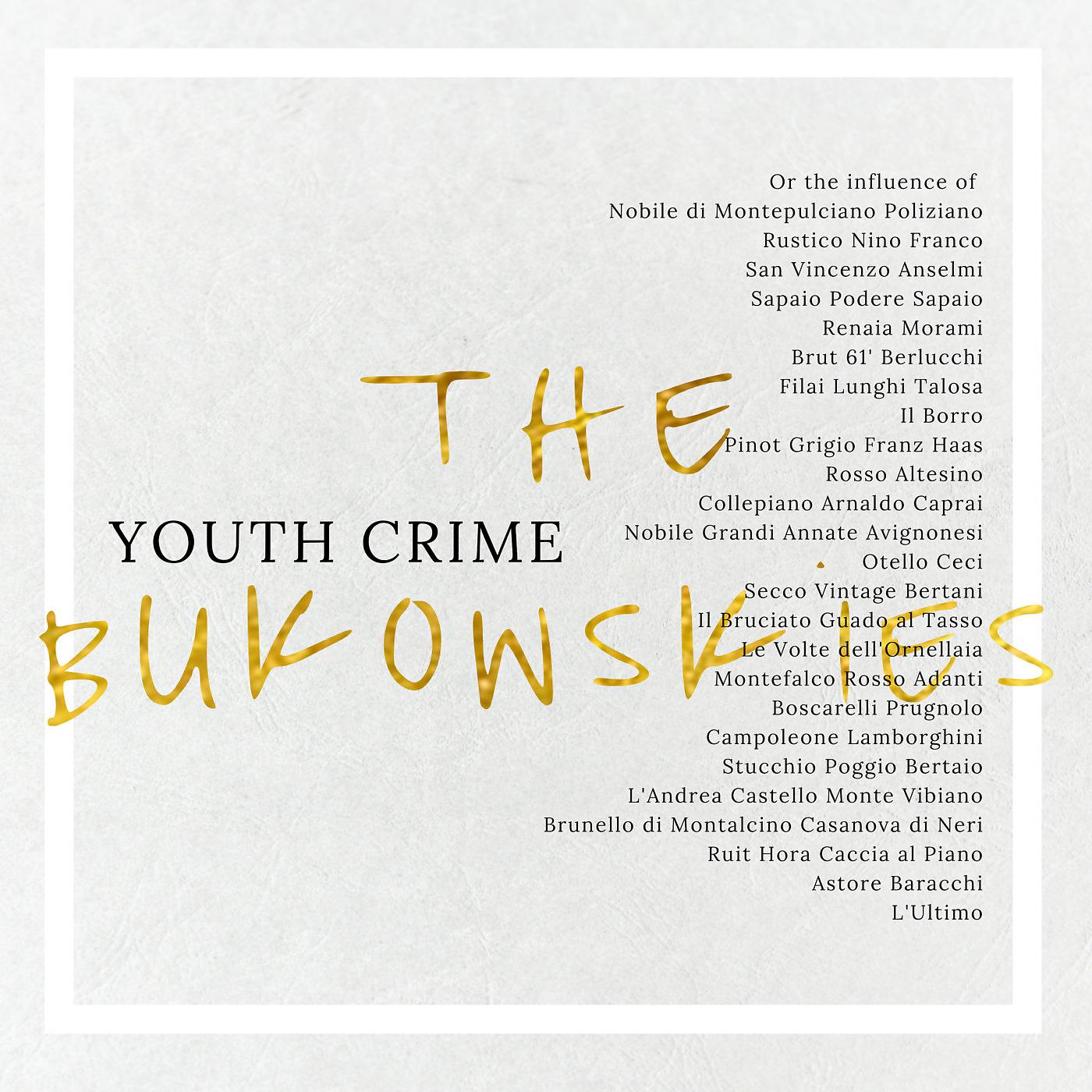 Постер альбома Youth Crime or the Influence of...