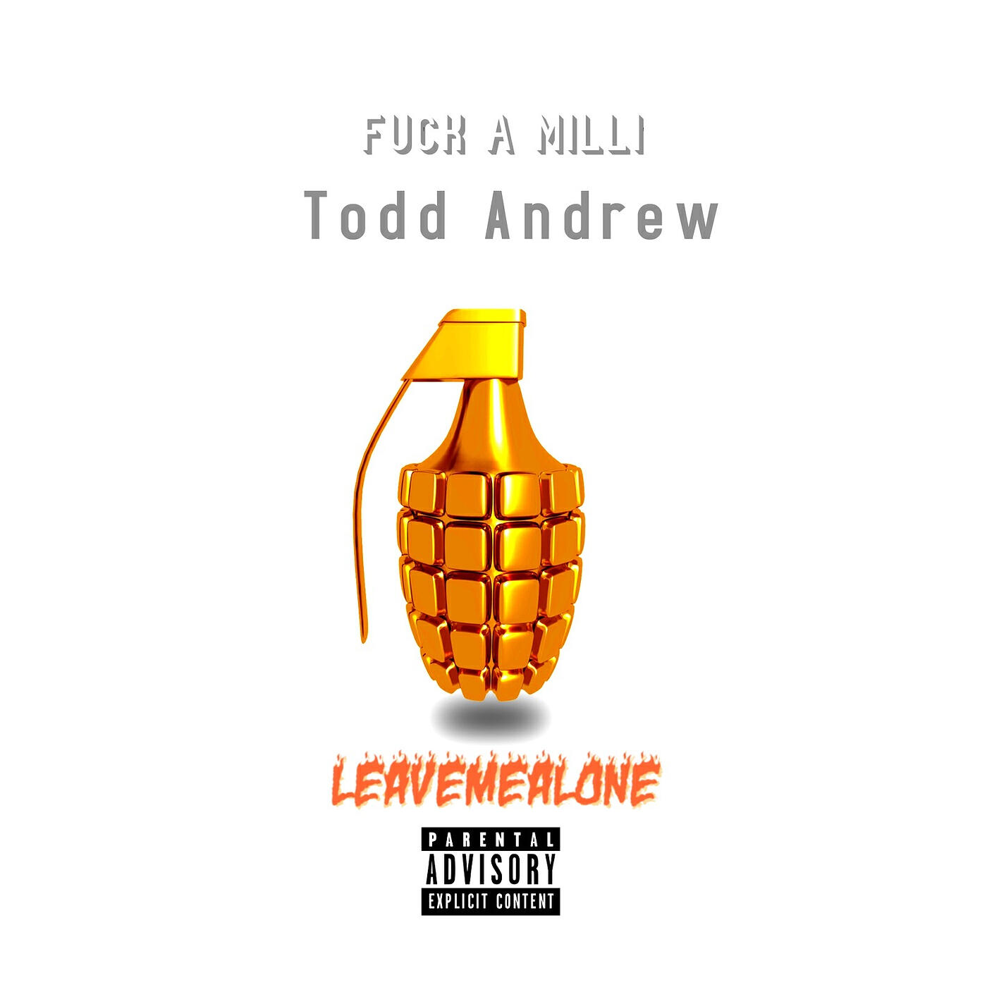 Todd Andrew - Fuck a Milli