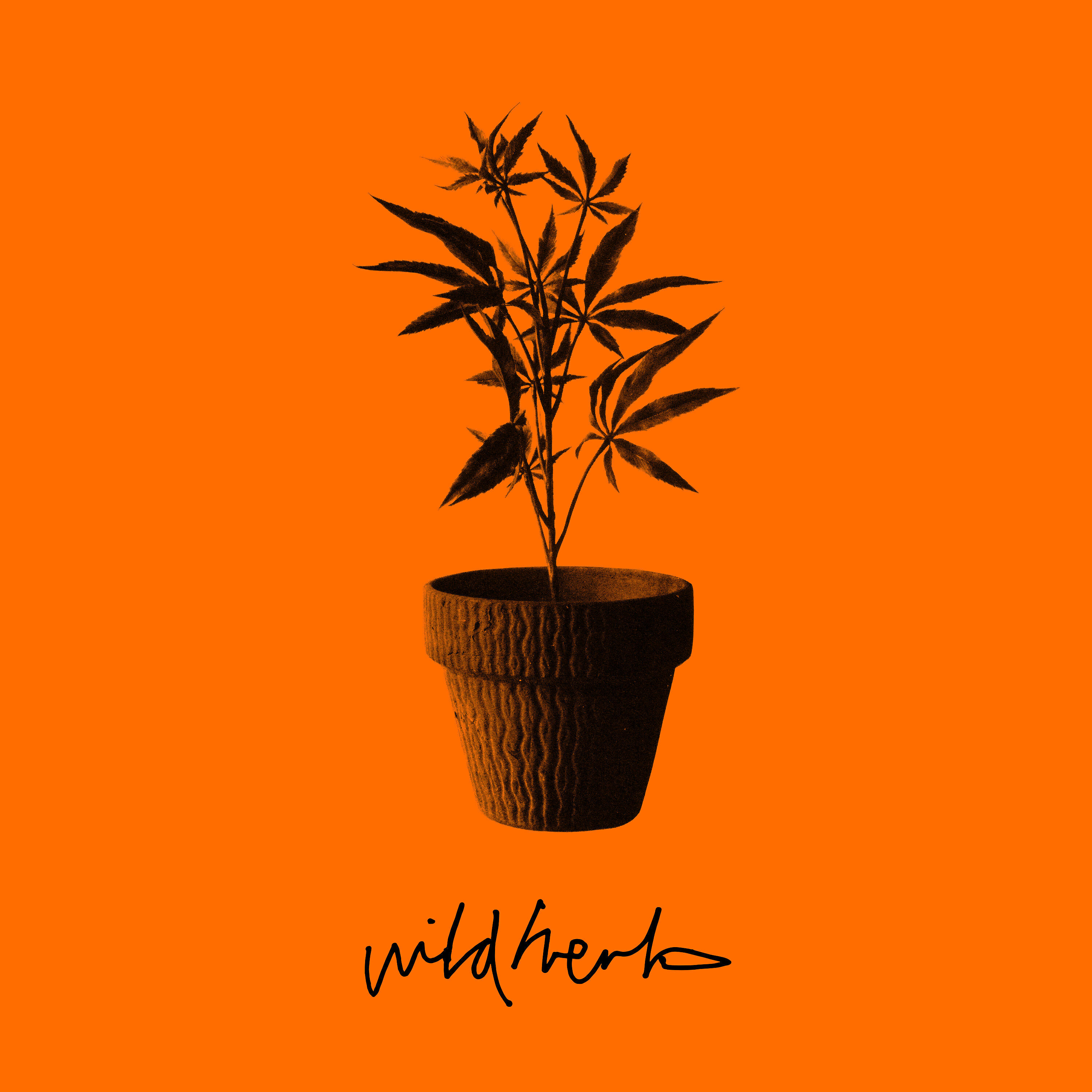 Jehst - Wild Herb