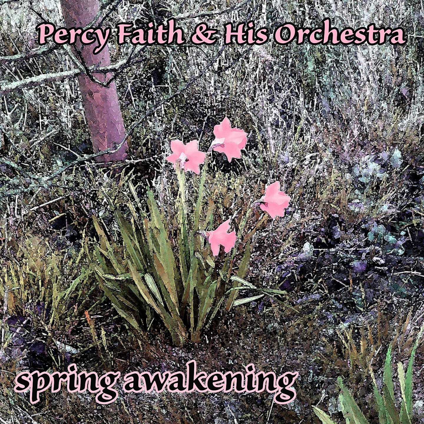 Percy Faith & His Orchestra - Delicado