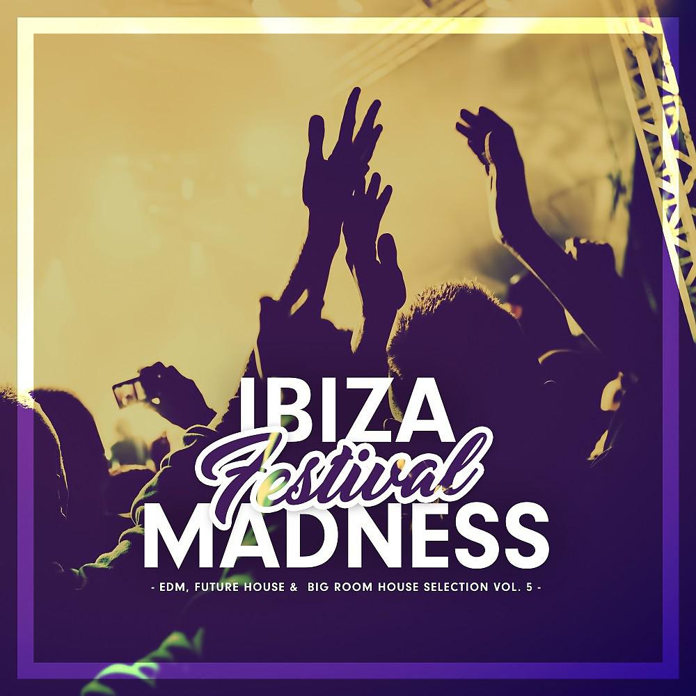 Постер альбома Ibiza Festival Madness, Vol. 5