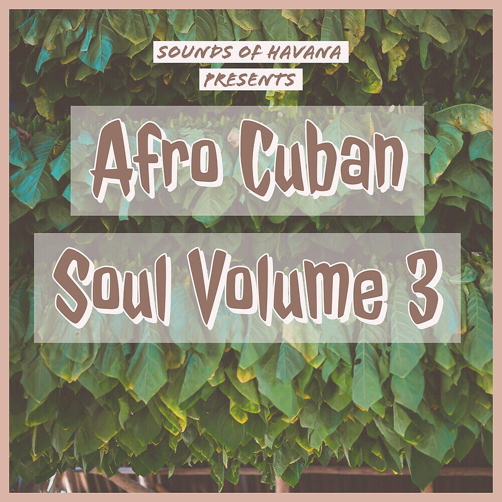 Ibrahim Ferrer - Viene De La Tierra Caliente