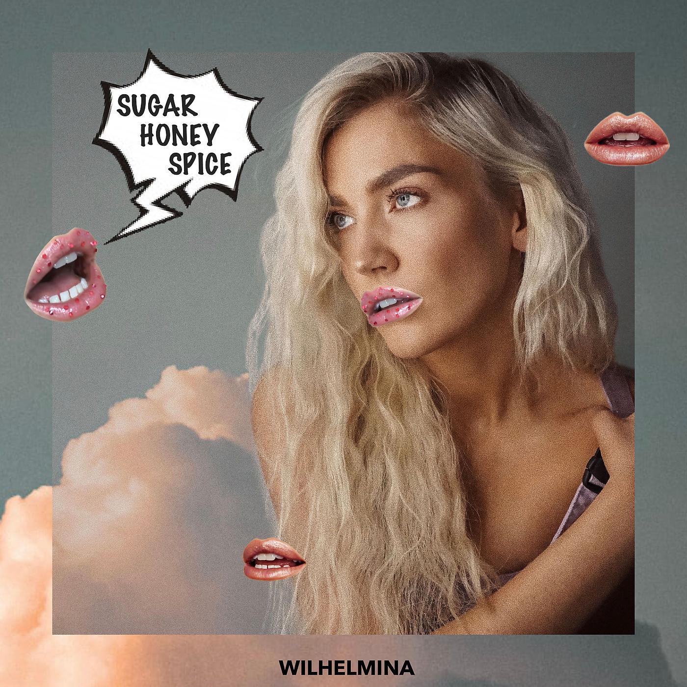 Постер альбома Sugar Honey Spice