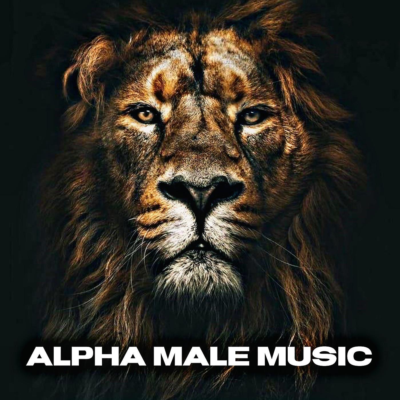 Постер альбома Alpha Male Music