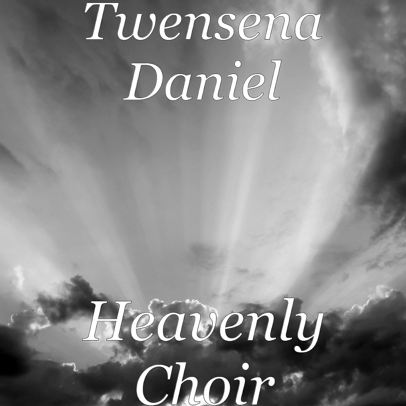 Постер альбома Heavenly Choir