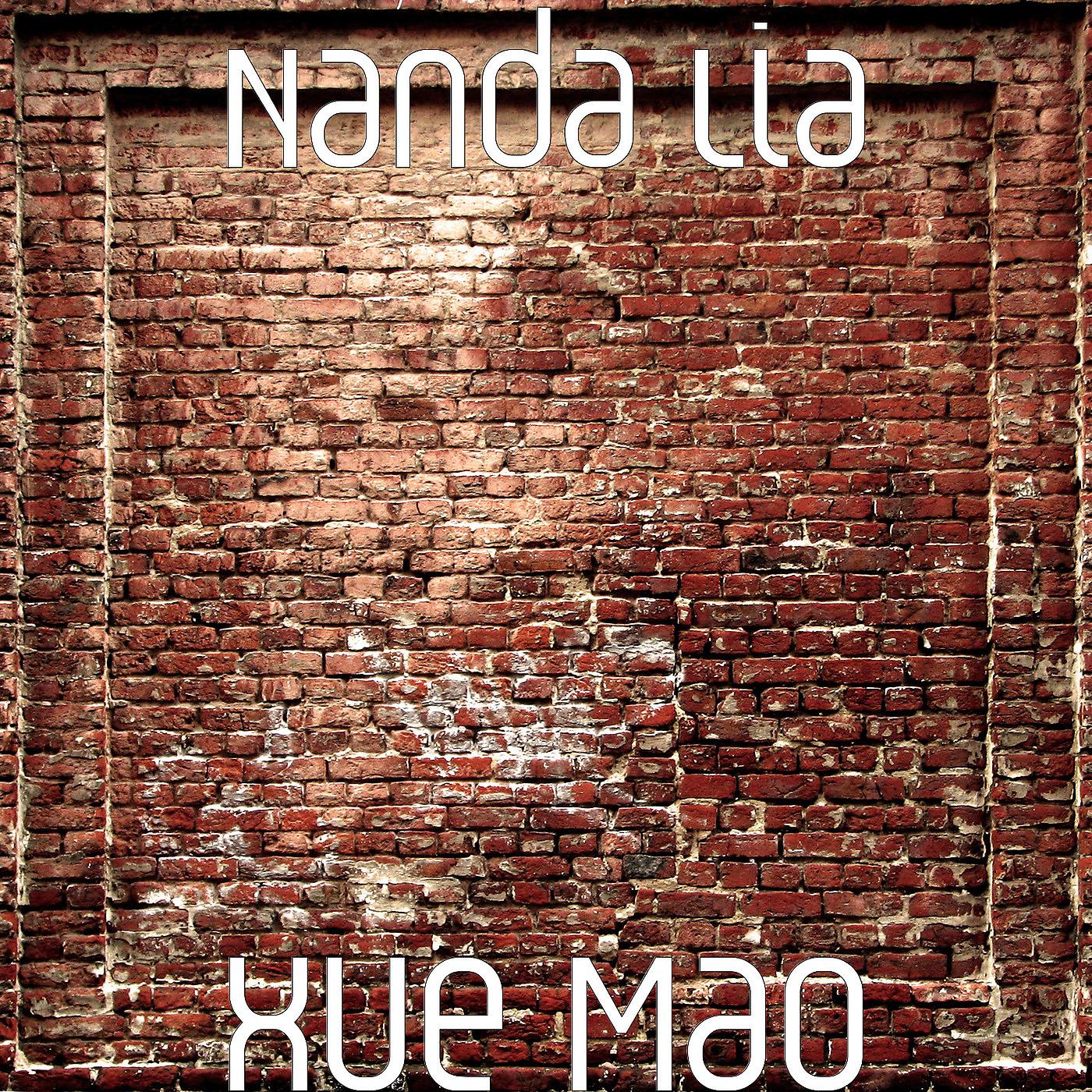 Постер альбома Xue Mao