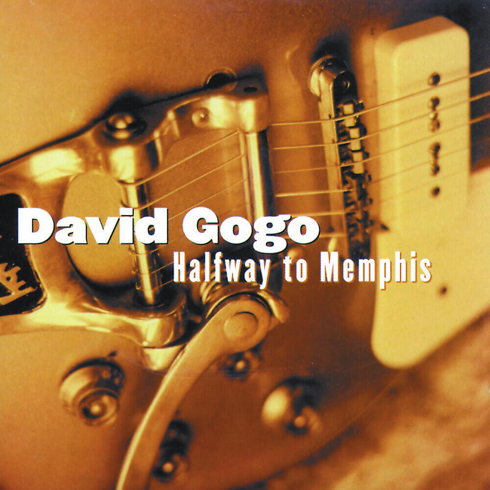 David Gogo - Blues Medley
