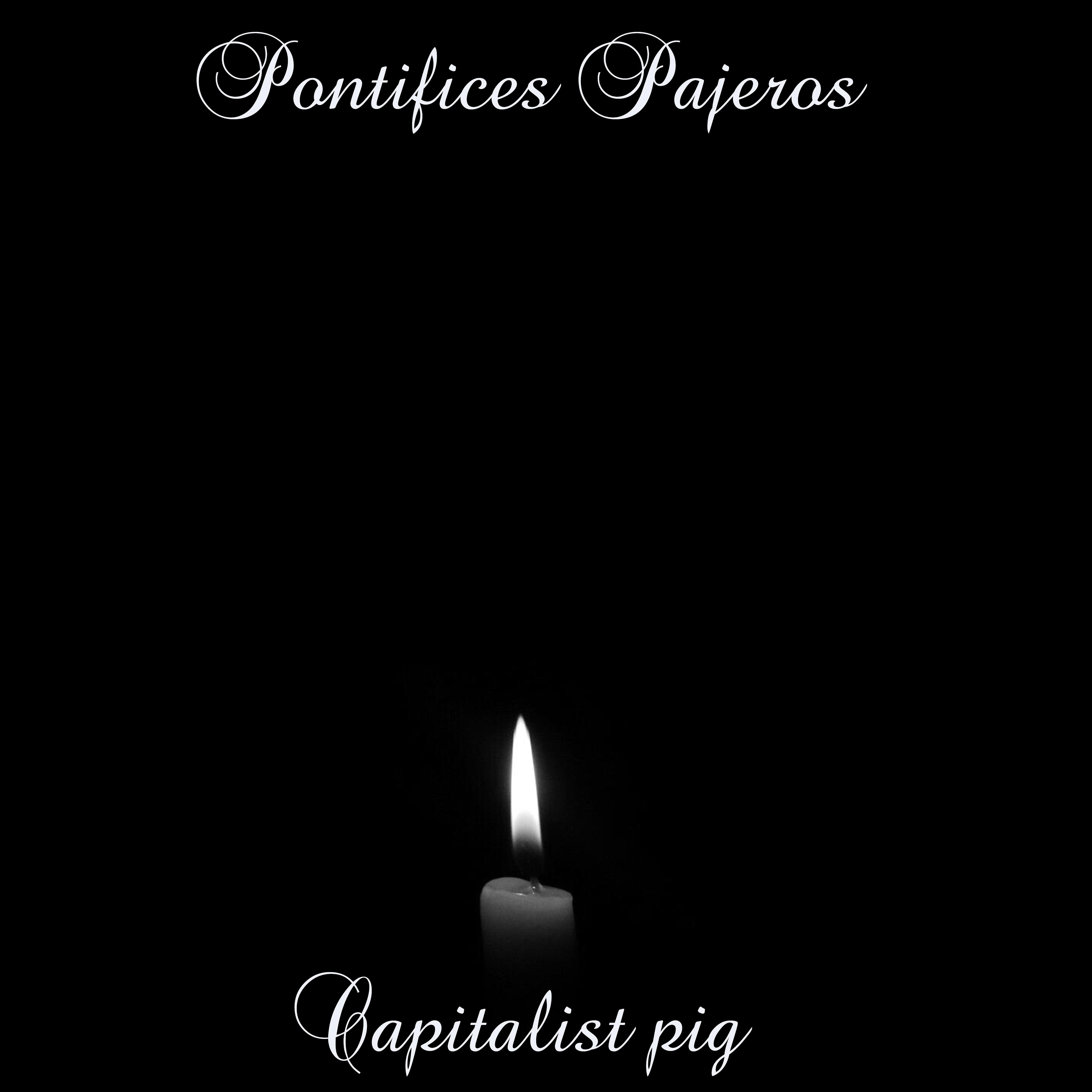 Pontifices Pajeros - Shareholder