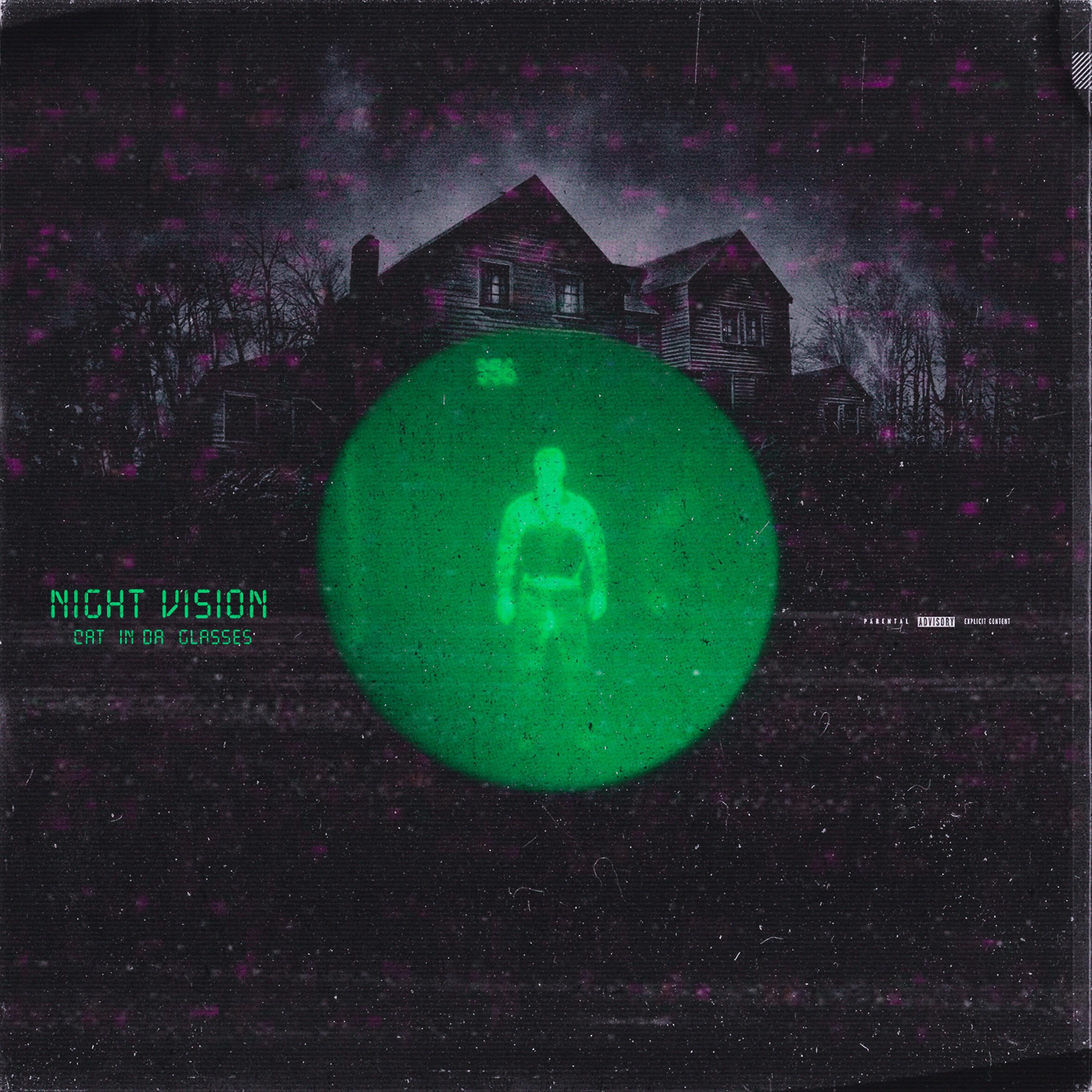 CAT IN DA GLASSES - Night Vision