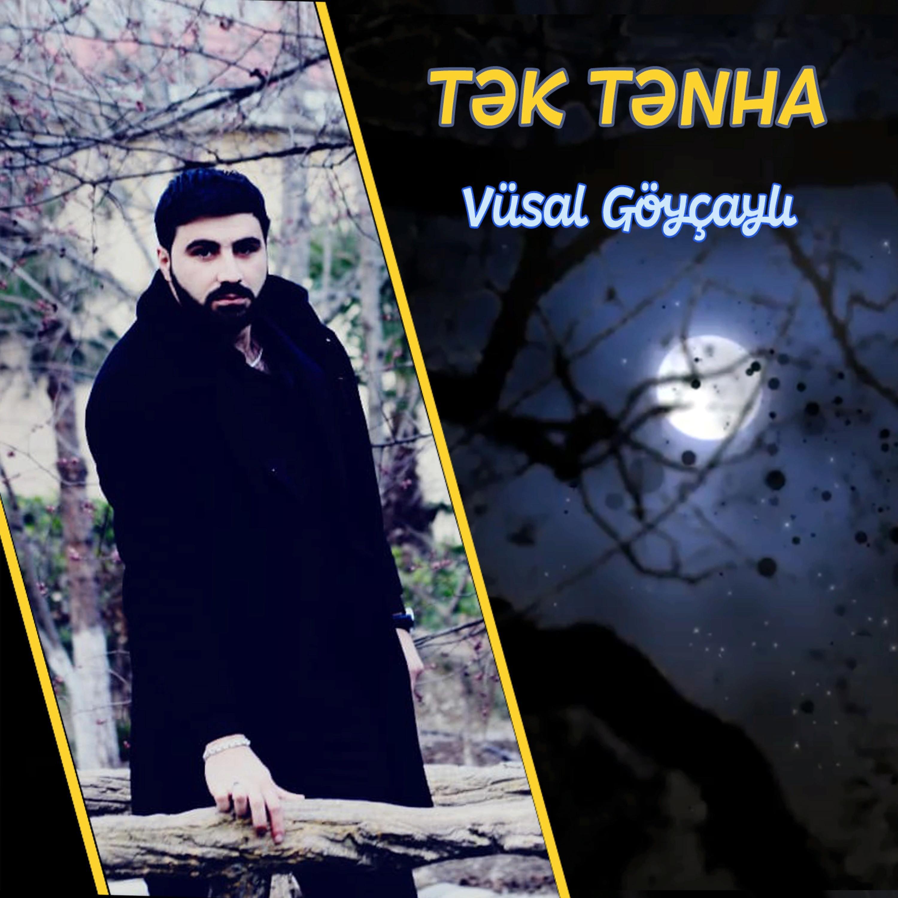 Постер альбома Tek Tenha