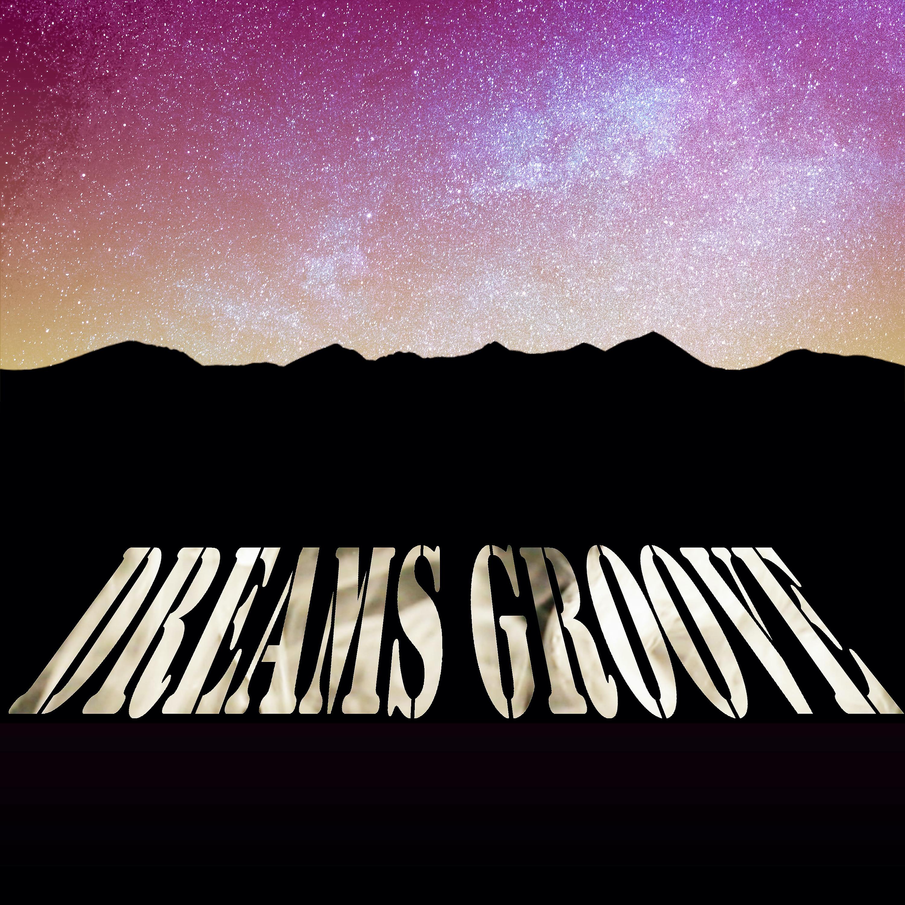 Постер альбома Dreams Groove