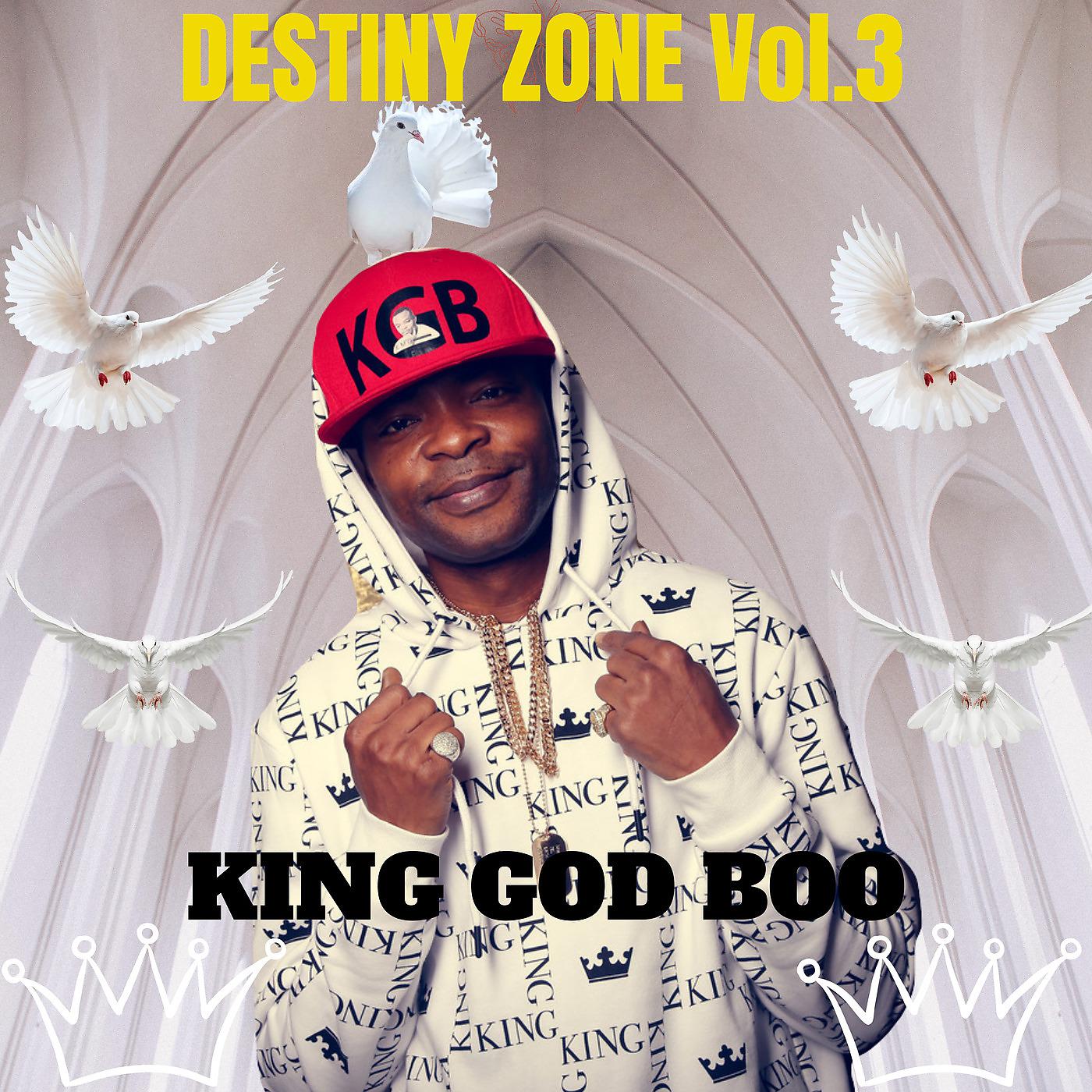 Постер альбома Destiny Zone Vol 3