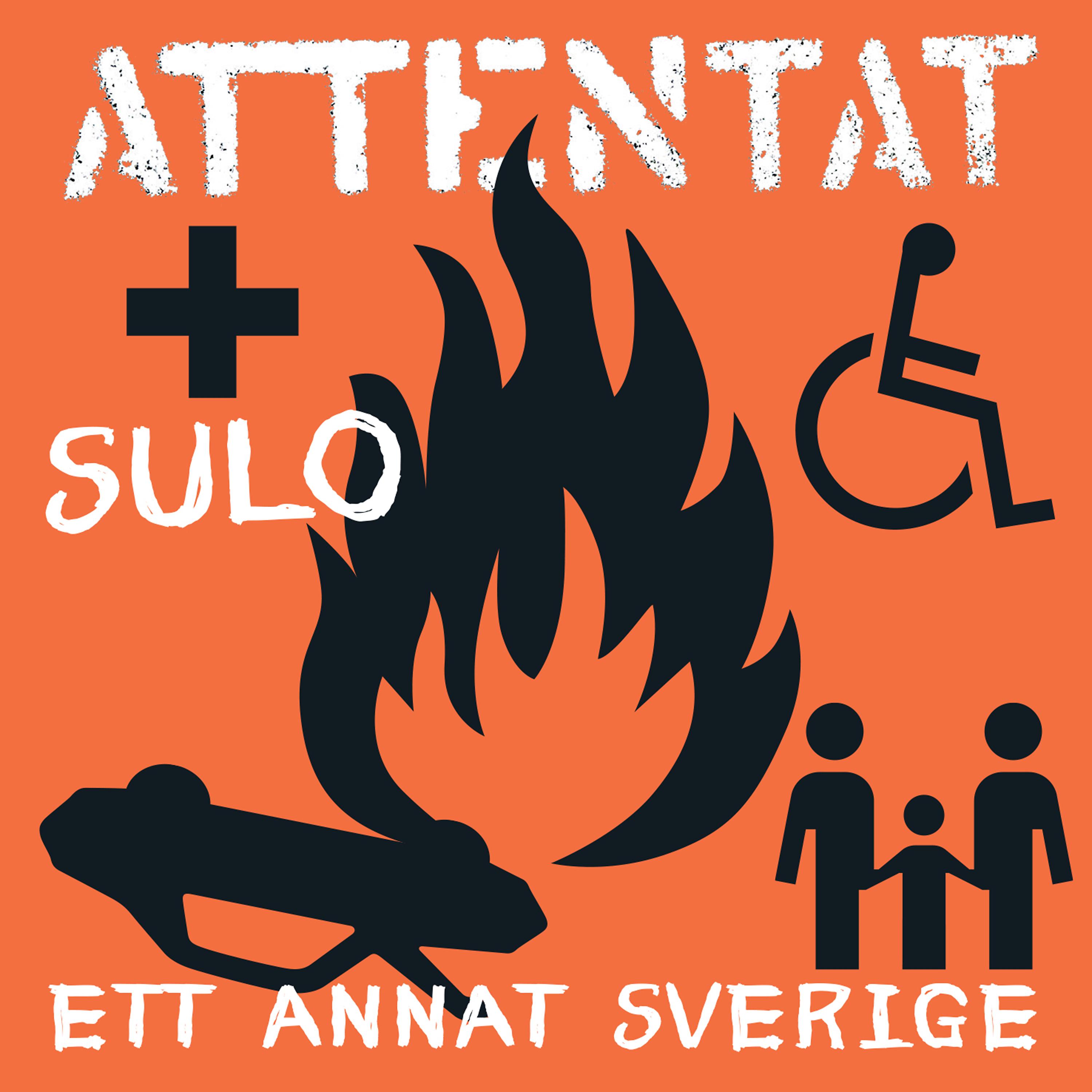 Постер альбома Ett Annat Sverige