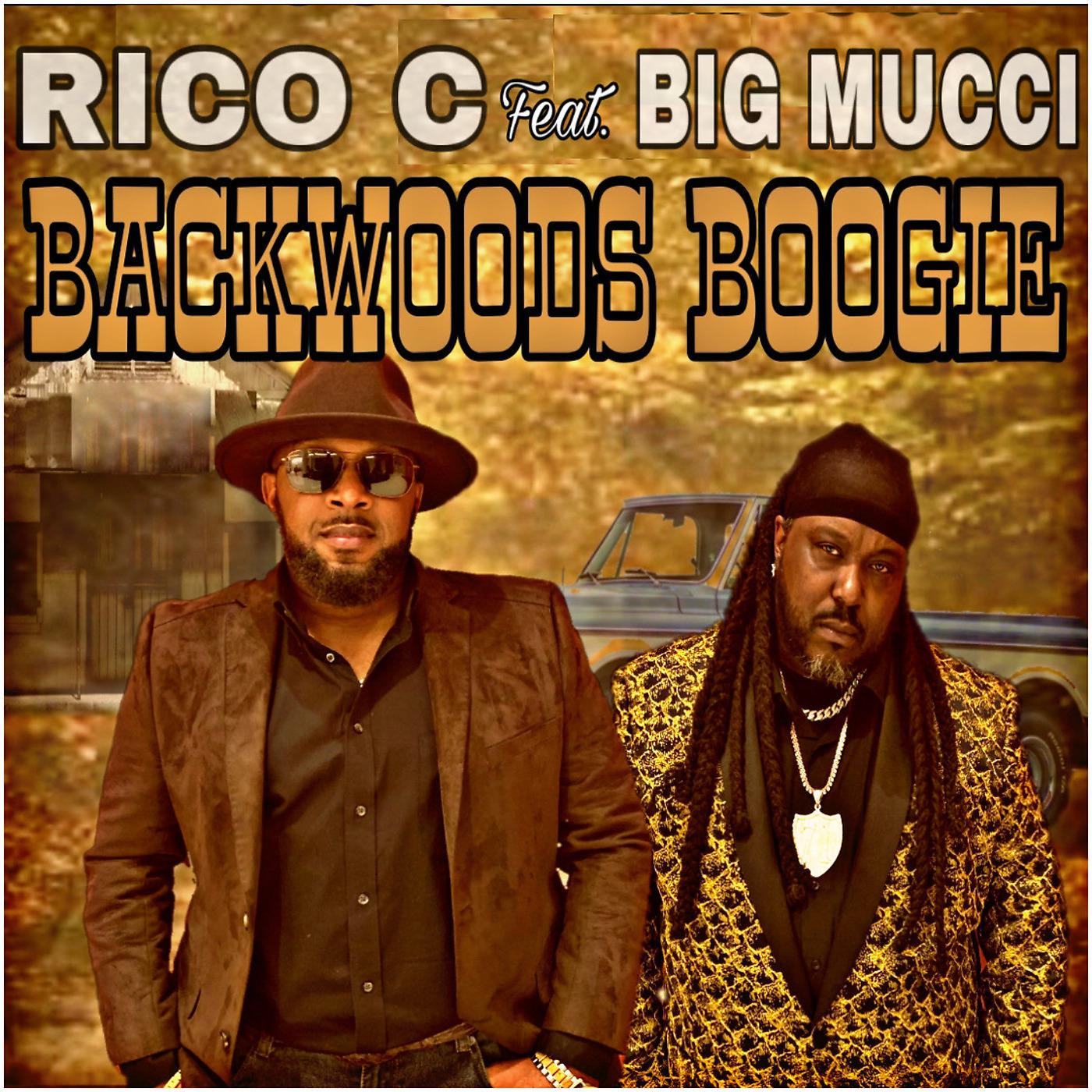 Постер альбома Backwoods Boogie