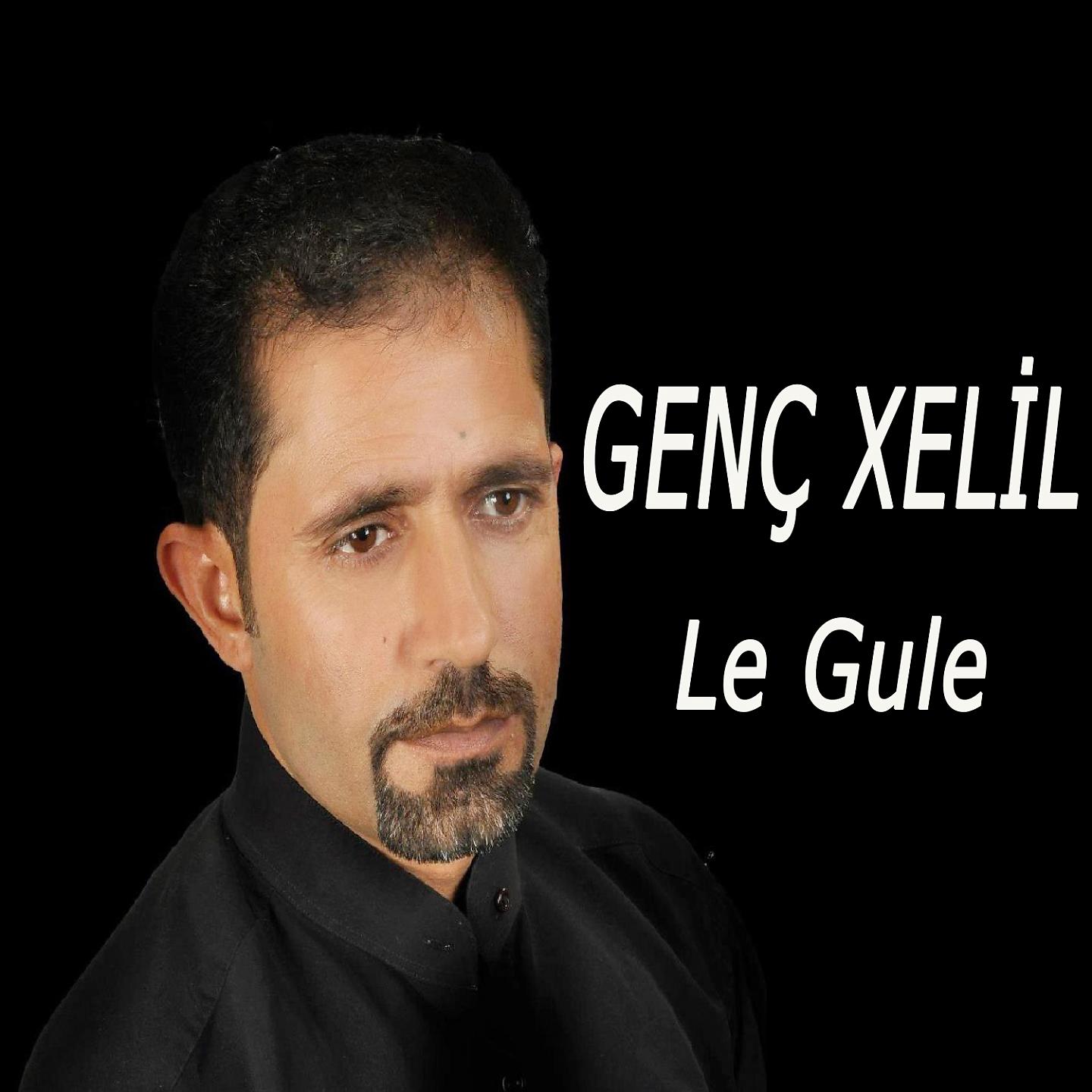 Постер альбома Le Gule