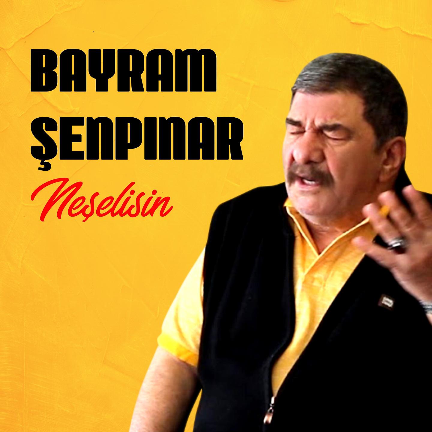 Постер альбома Neşelisin