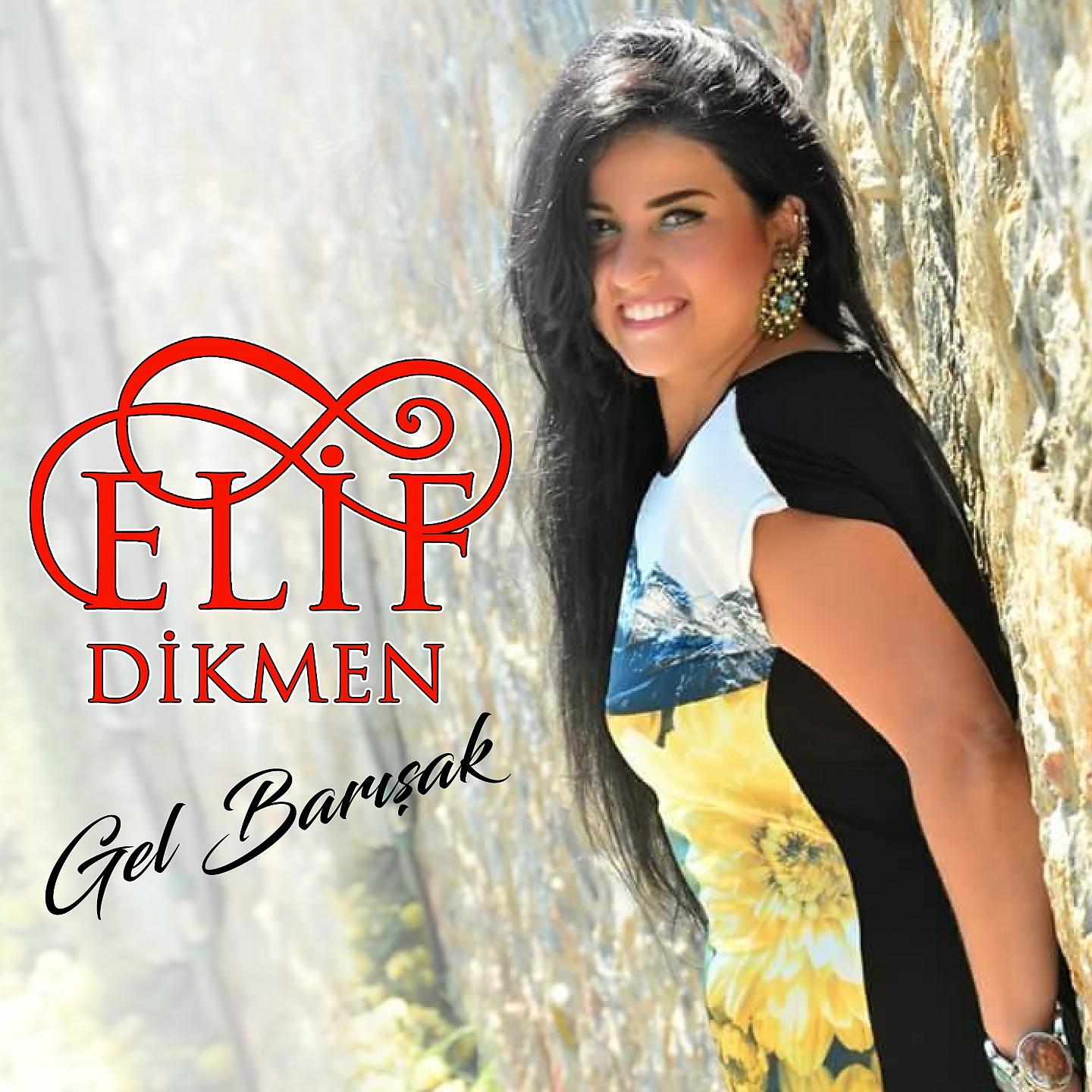 Постер альбома Gel Barışak
