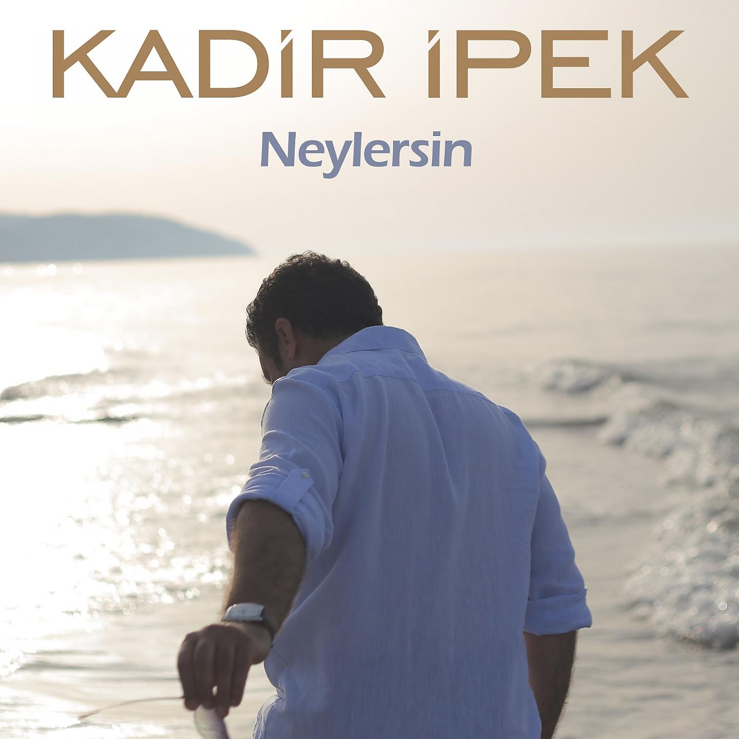 Постер альбома Neylersin