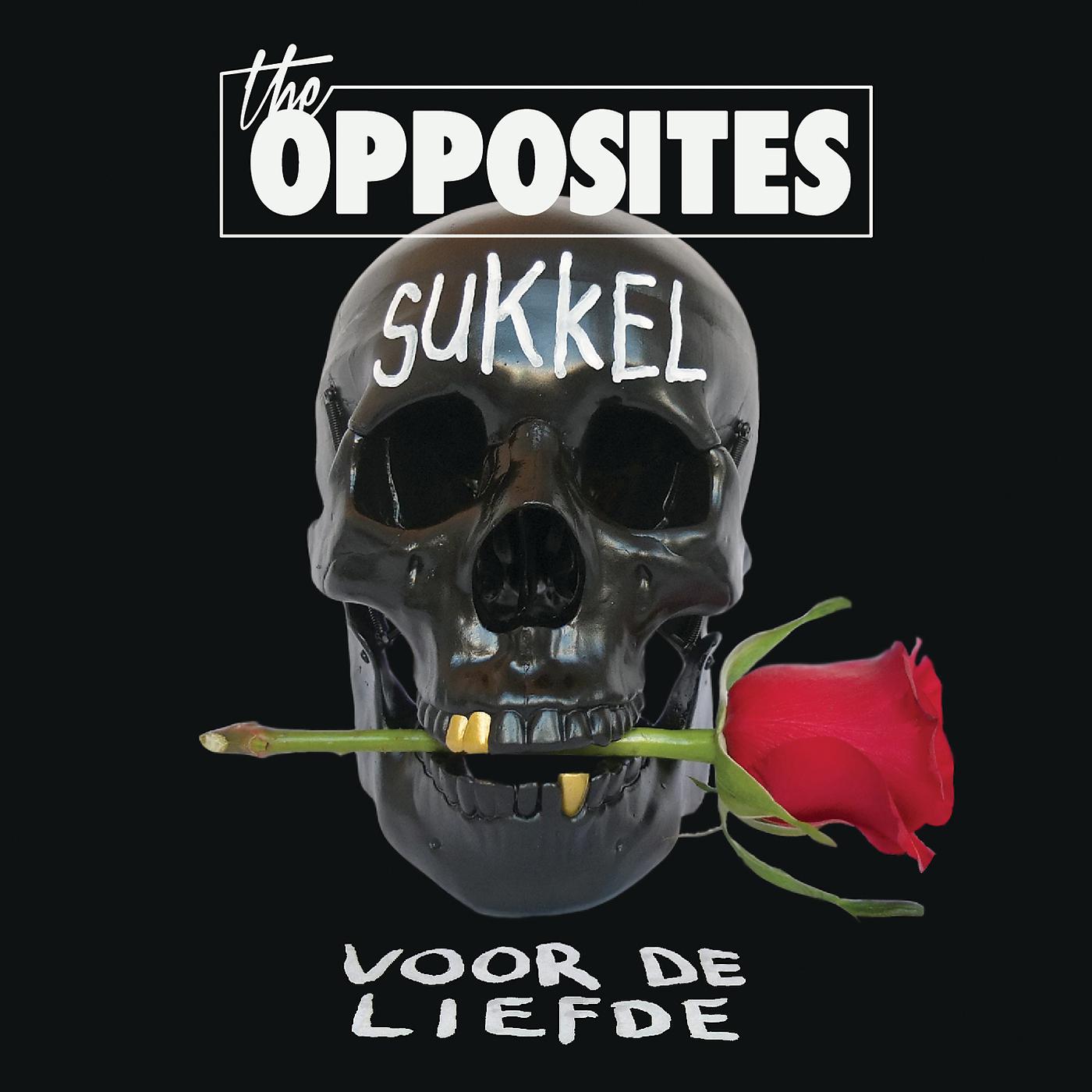 Постер альбома Sukkel Voor De Liefde