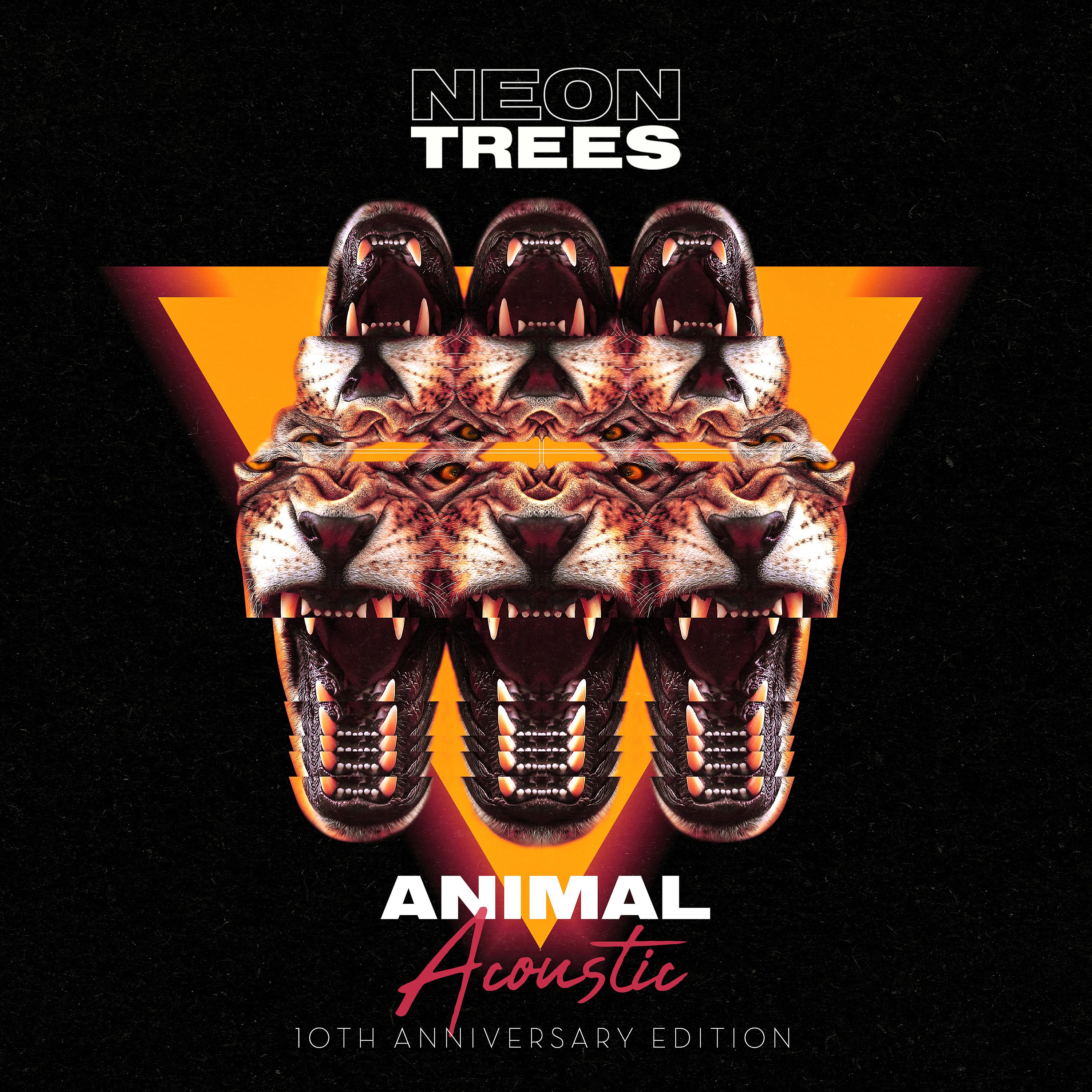 Постер альбома Animal (10th Anniversary Edition) [Acoustic]