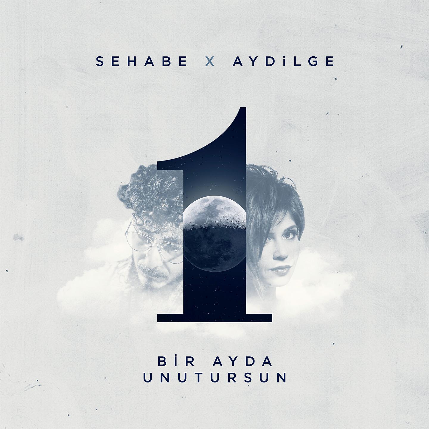 Постер альбома Bir Ayda Unutursun