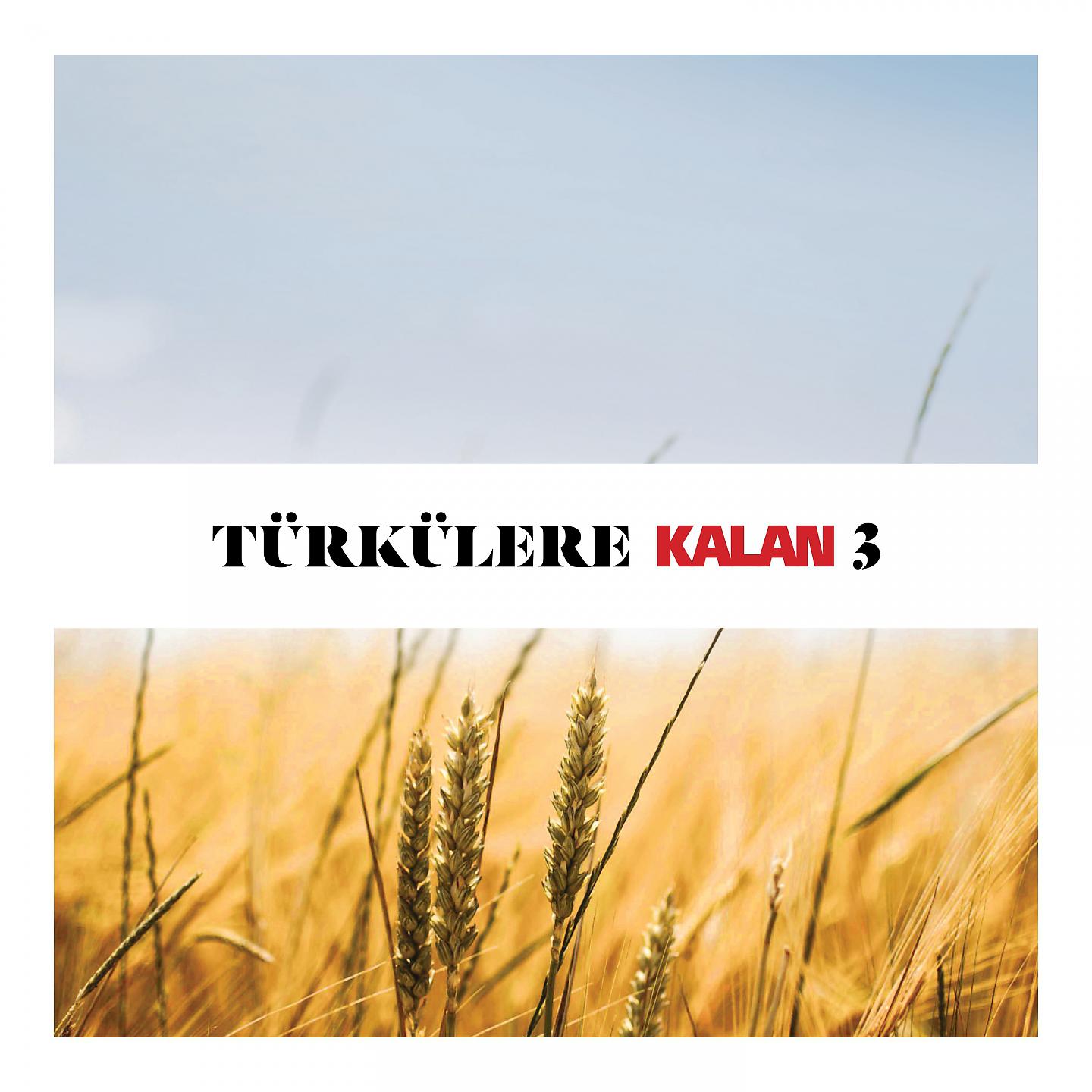 Постер альбома Türkülere Kalan, Vol. 3