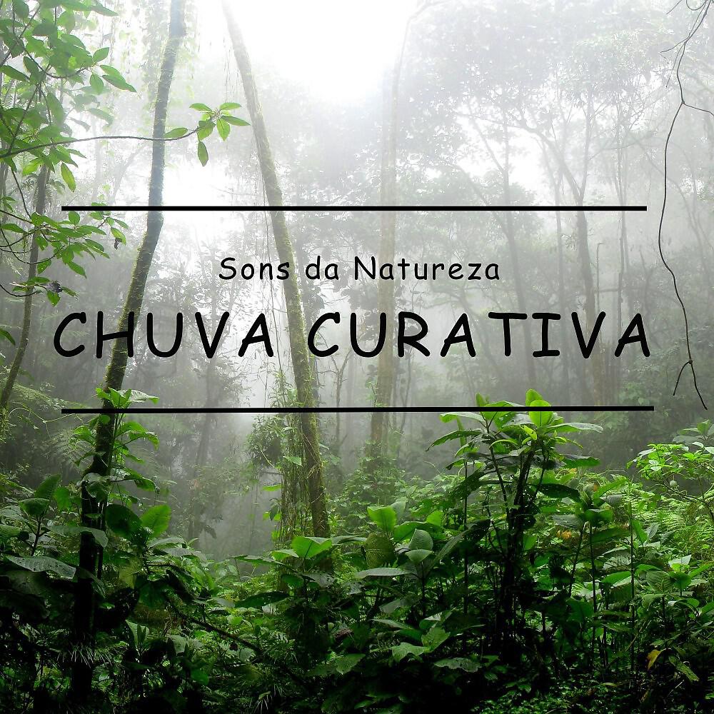 Chuva Para Dormir - Sons da Natureza: Chuva Curativa, Pt. 18