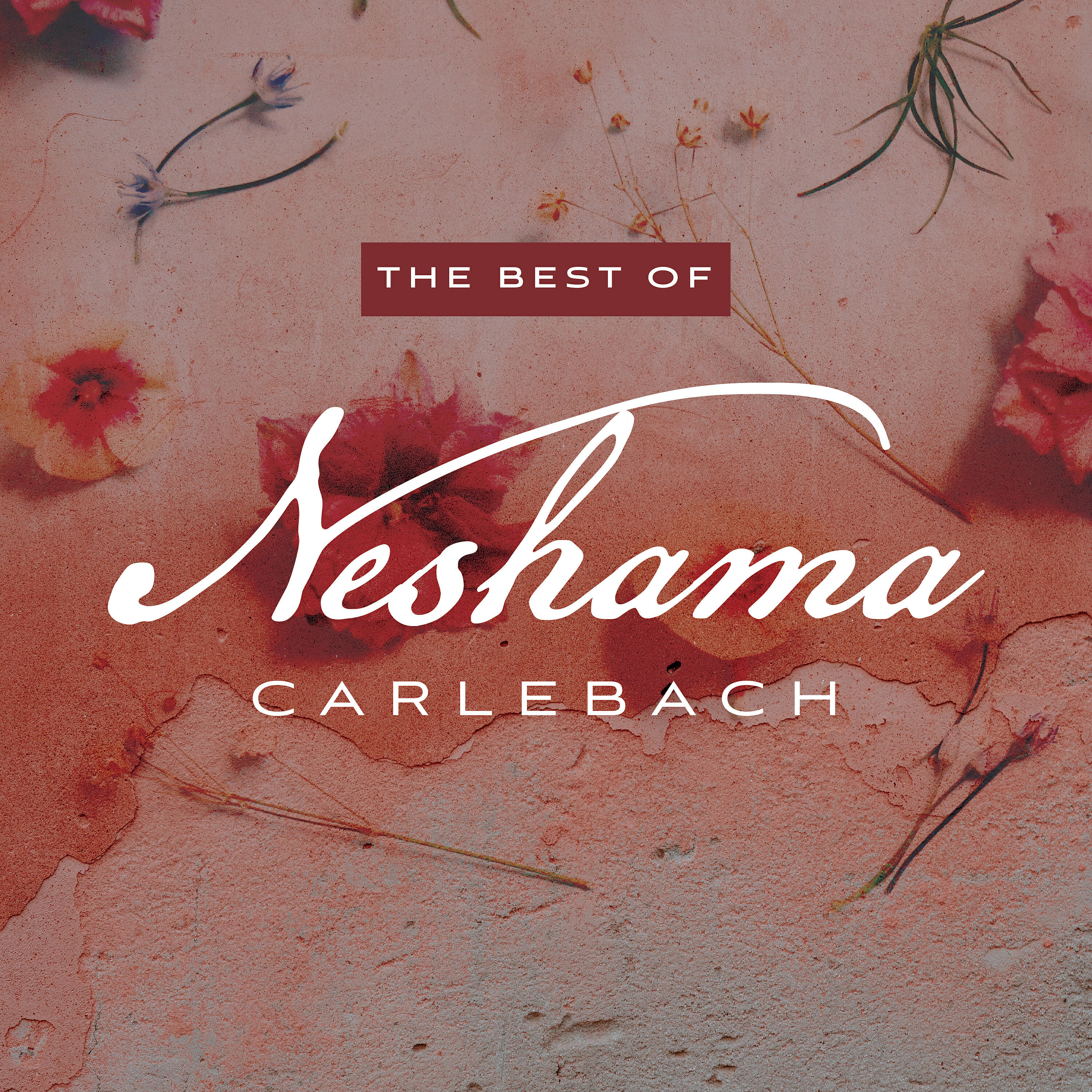 Neshama Carlebach - Esah Ainai