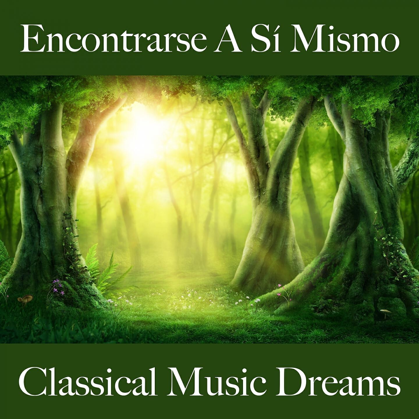 I Musici - The Four Seasons, Violin Concerto No. 4 in F Minor, RV 197 'L'inverno': II. Largo