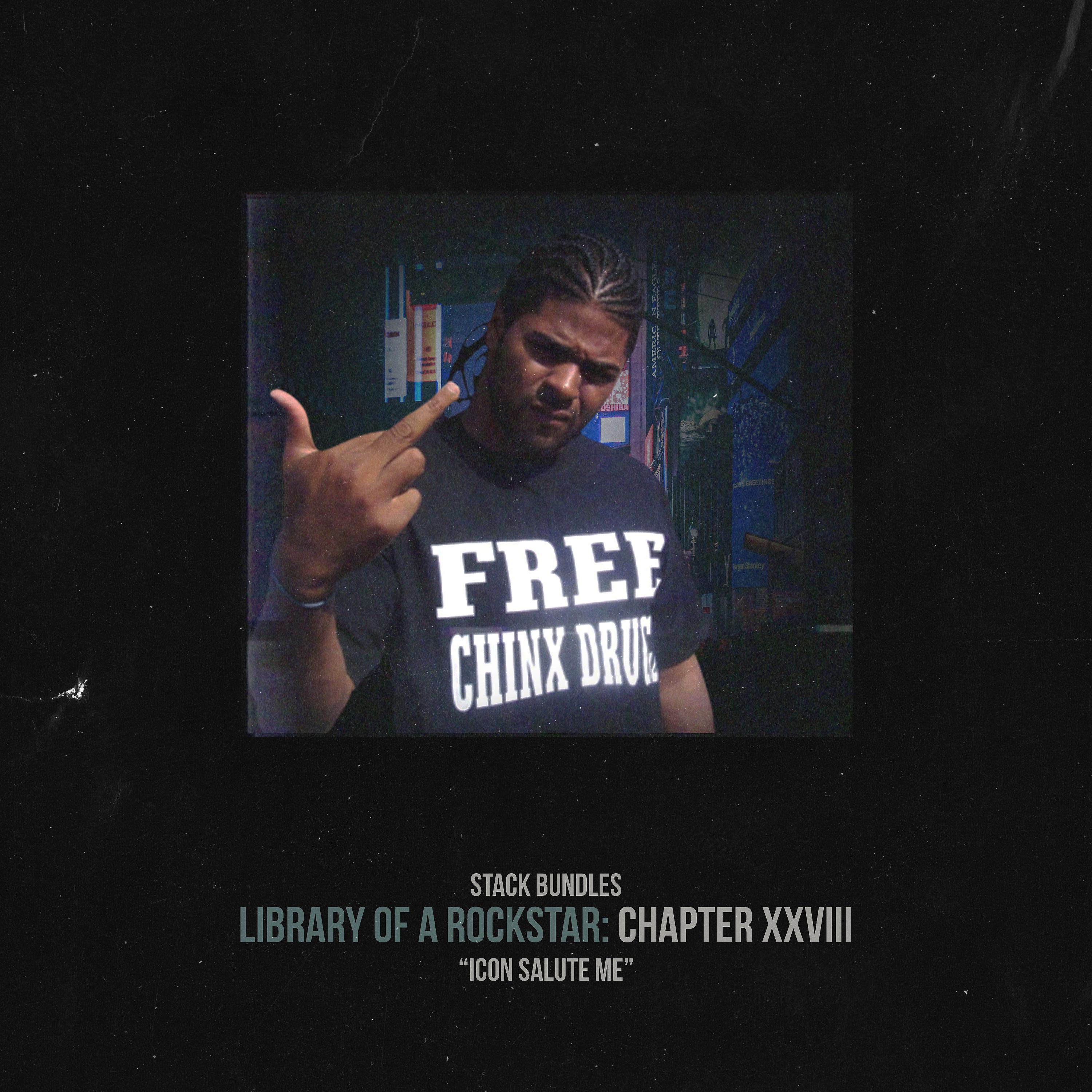Постер альбома Library of a Rockstar: Chapter 28 - Icon Salute Me
