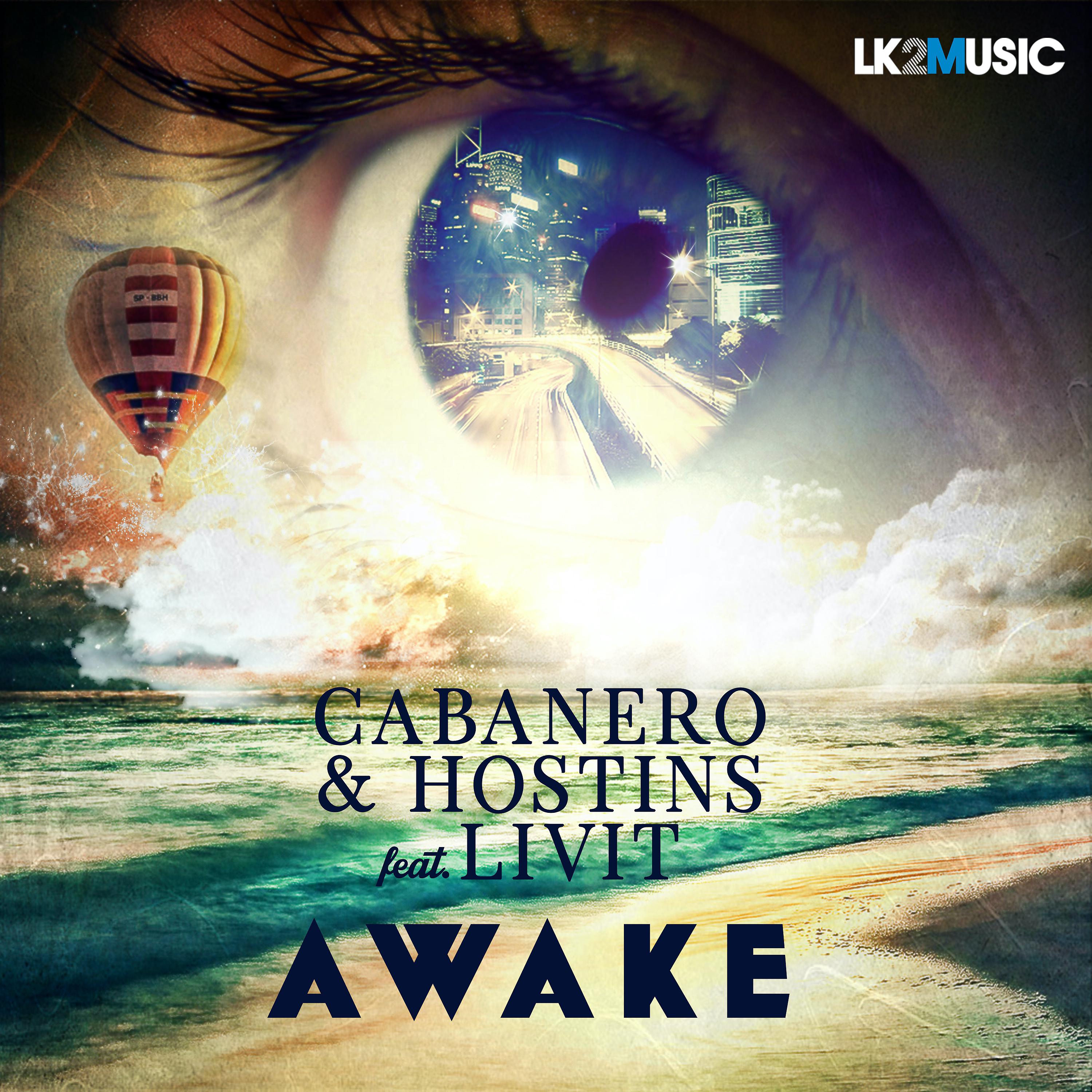 Постер альбома Awake