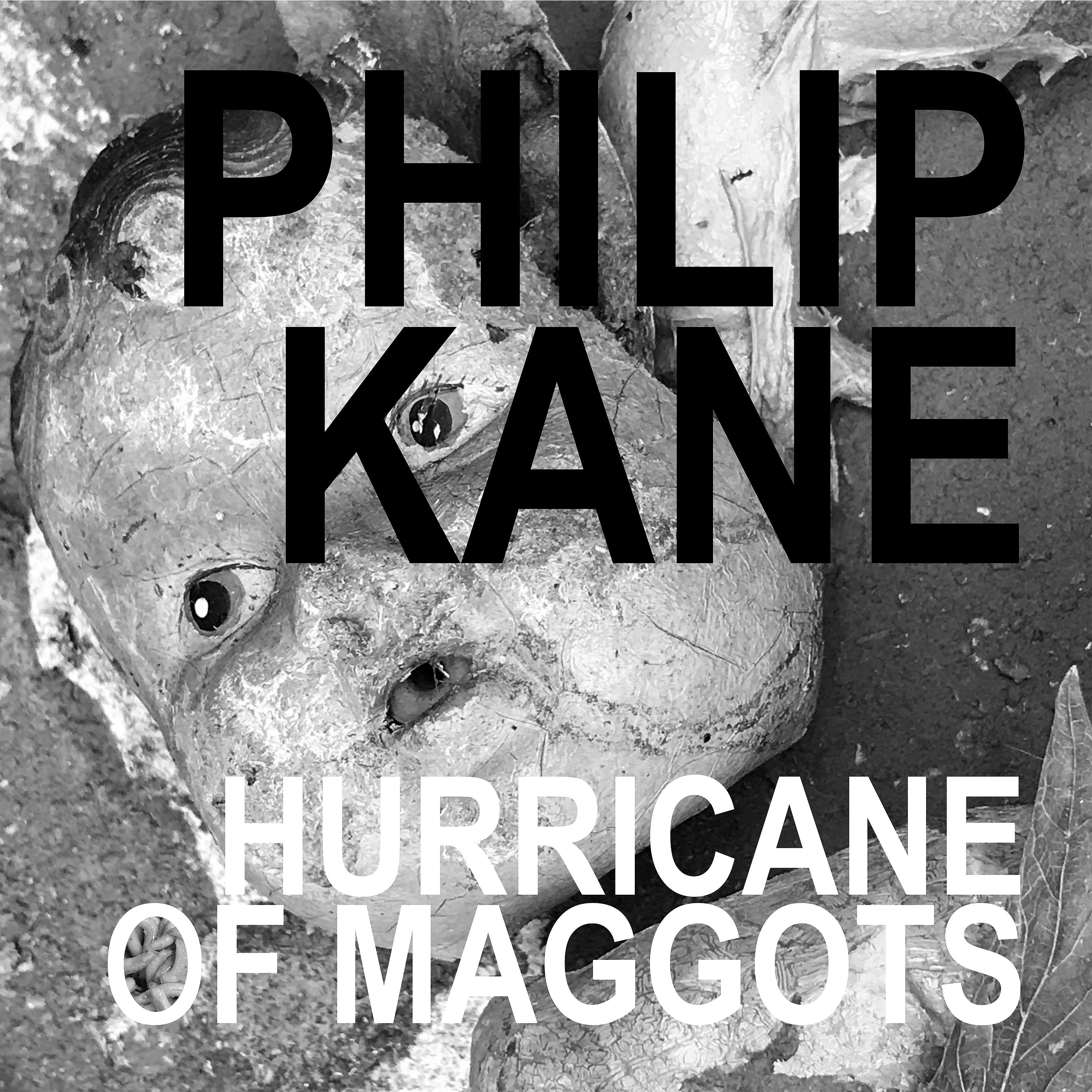 Постер альбома Hurricane of Maggots