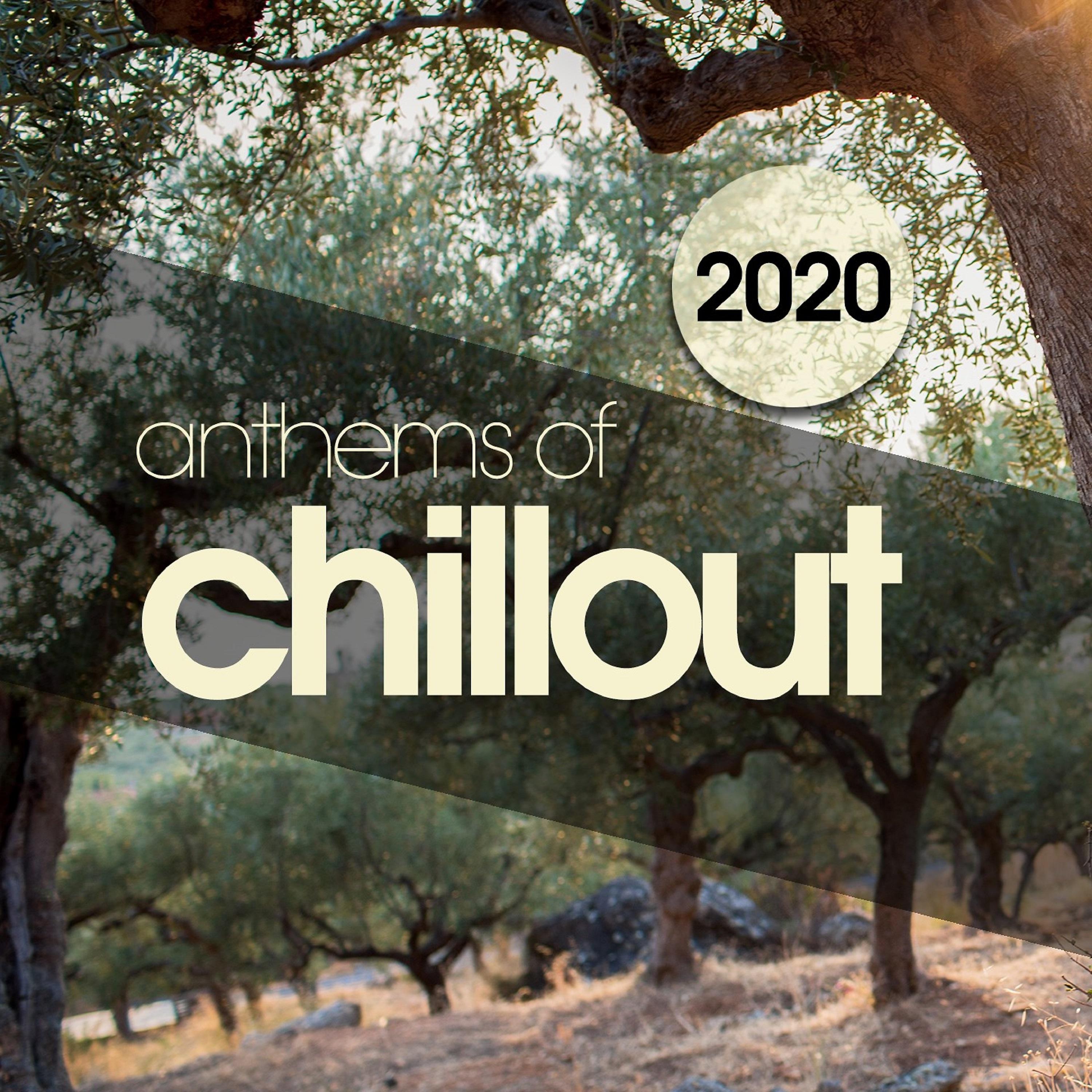 Постер альбома Anthems of Chillout 2020