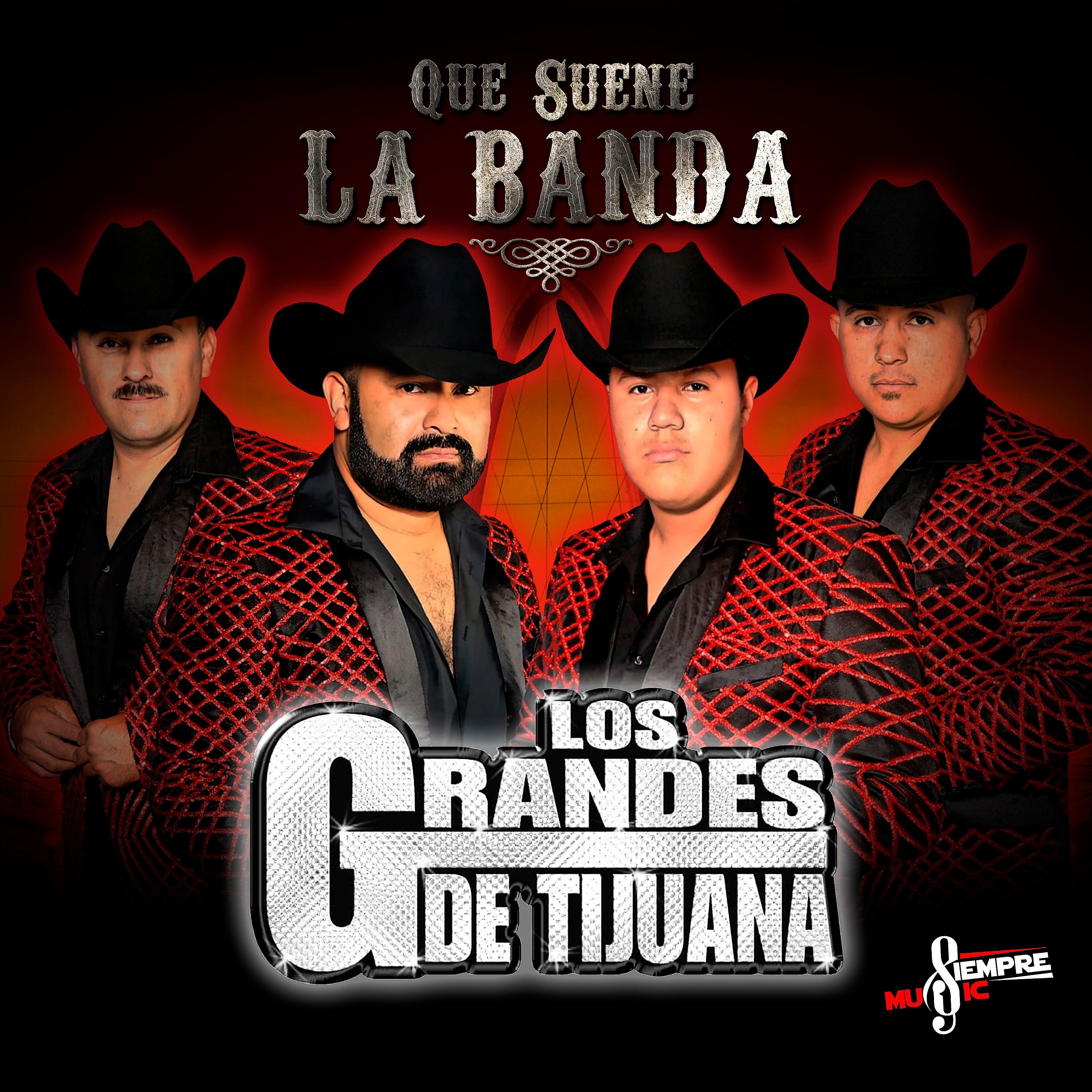 Постер альбома Que Suene la Banda