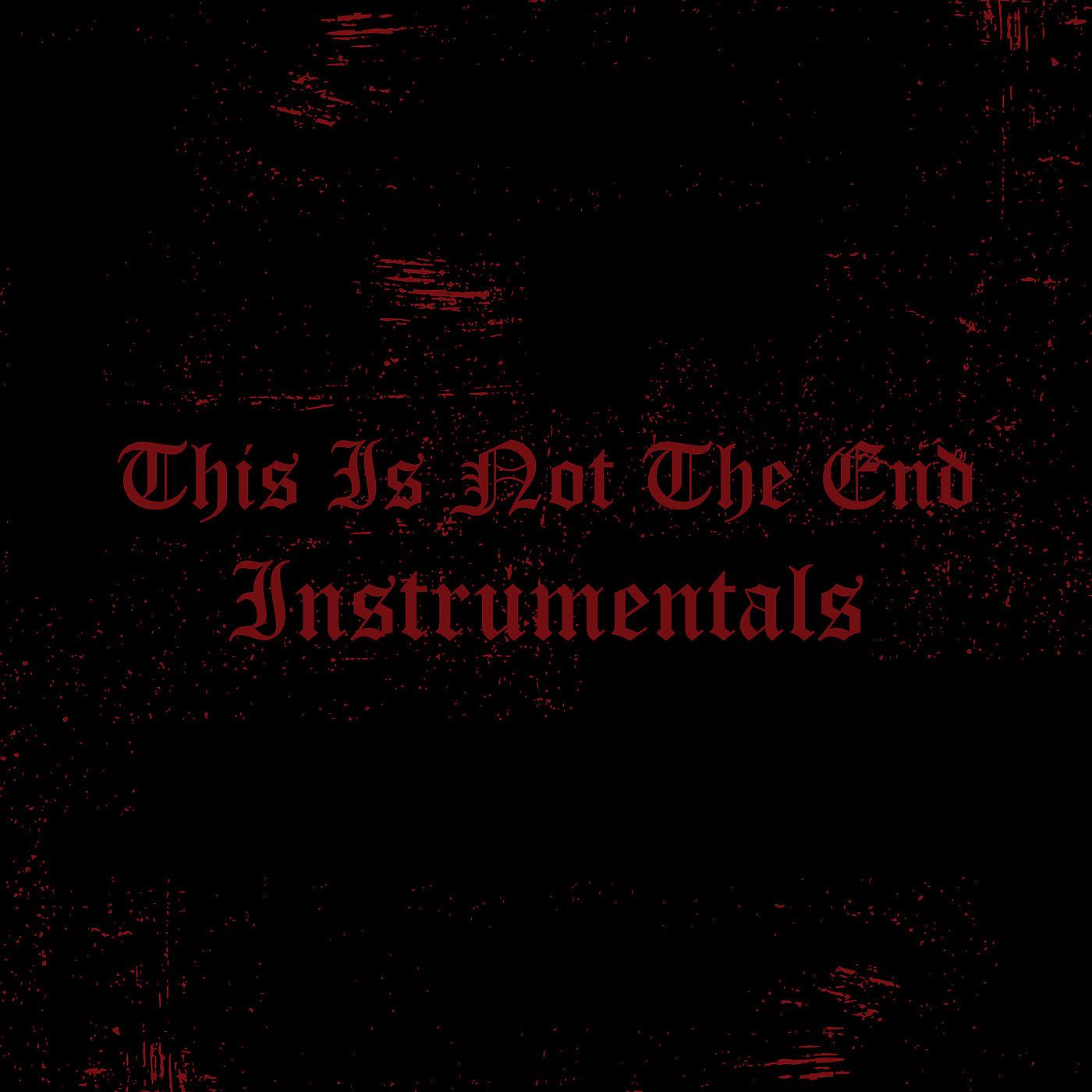 Постер альбома This Is Not the End Instrumentals