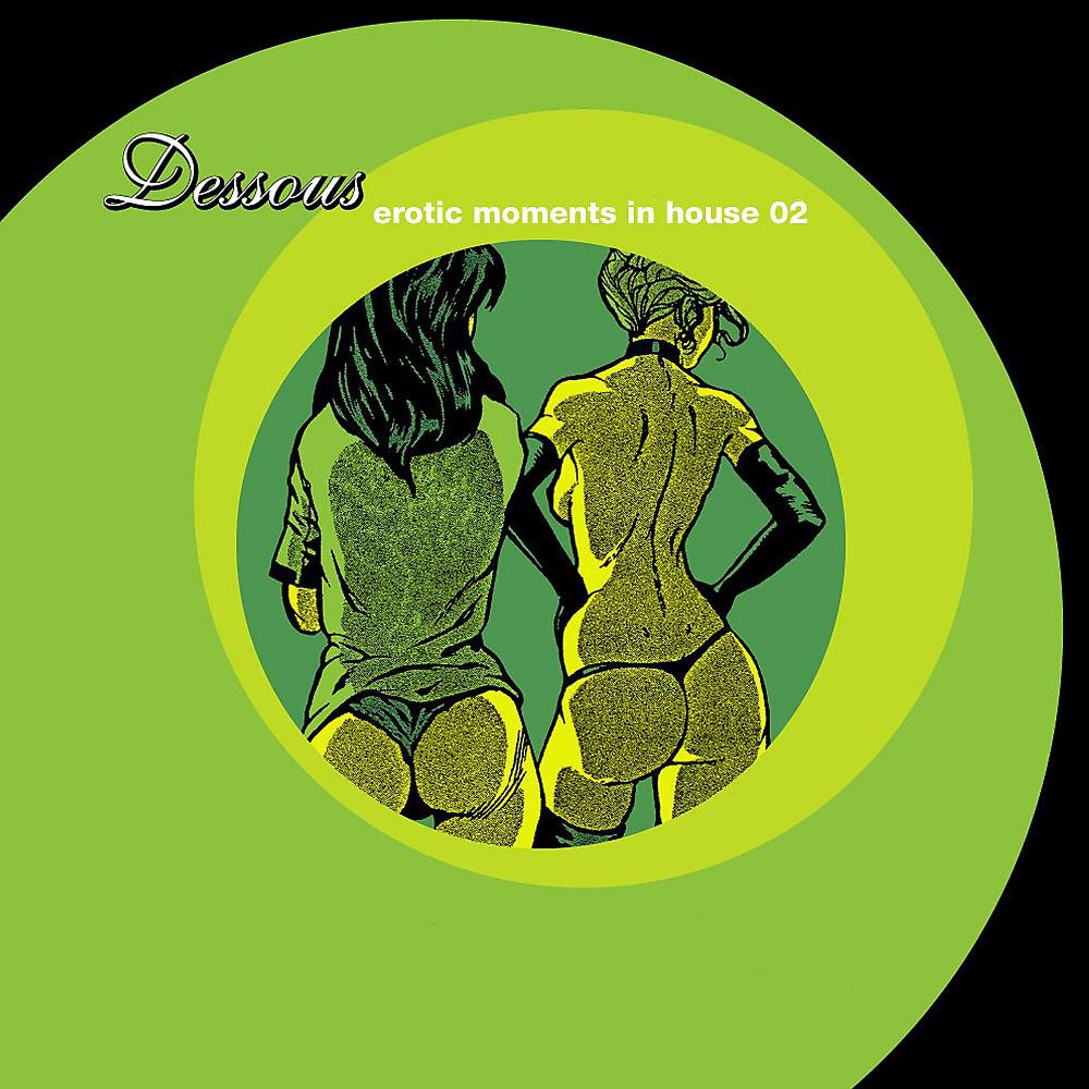 Постер альбома Erotic Moments in House 02