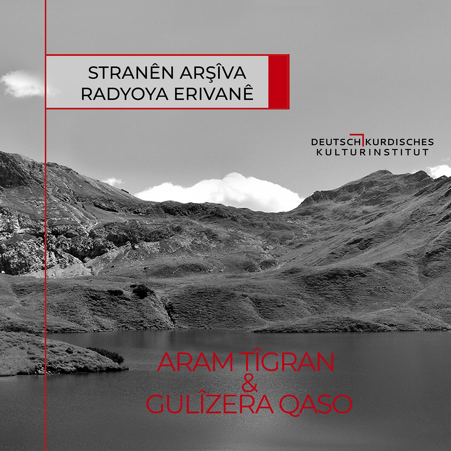 Постер альбома Stranên Arşîva Radyoya Erîvanê-5