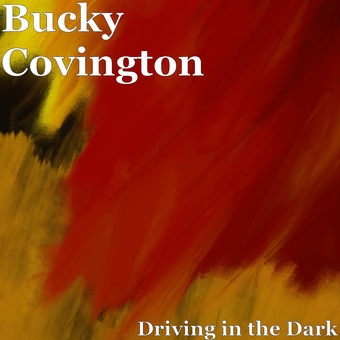 Постер альбома Driving in the Dark