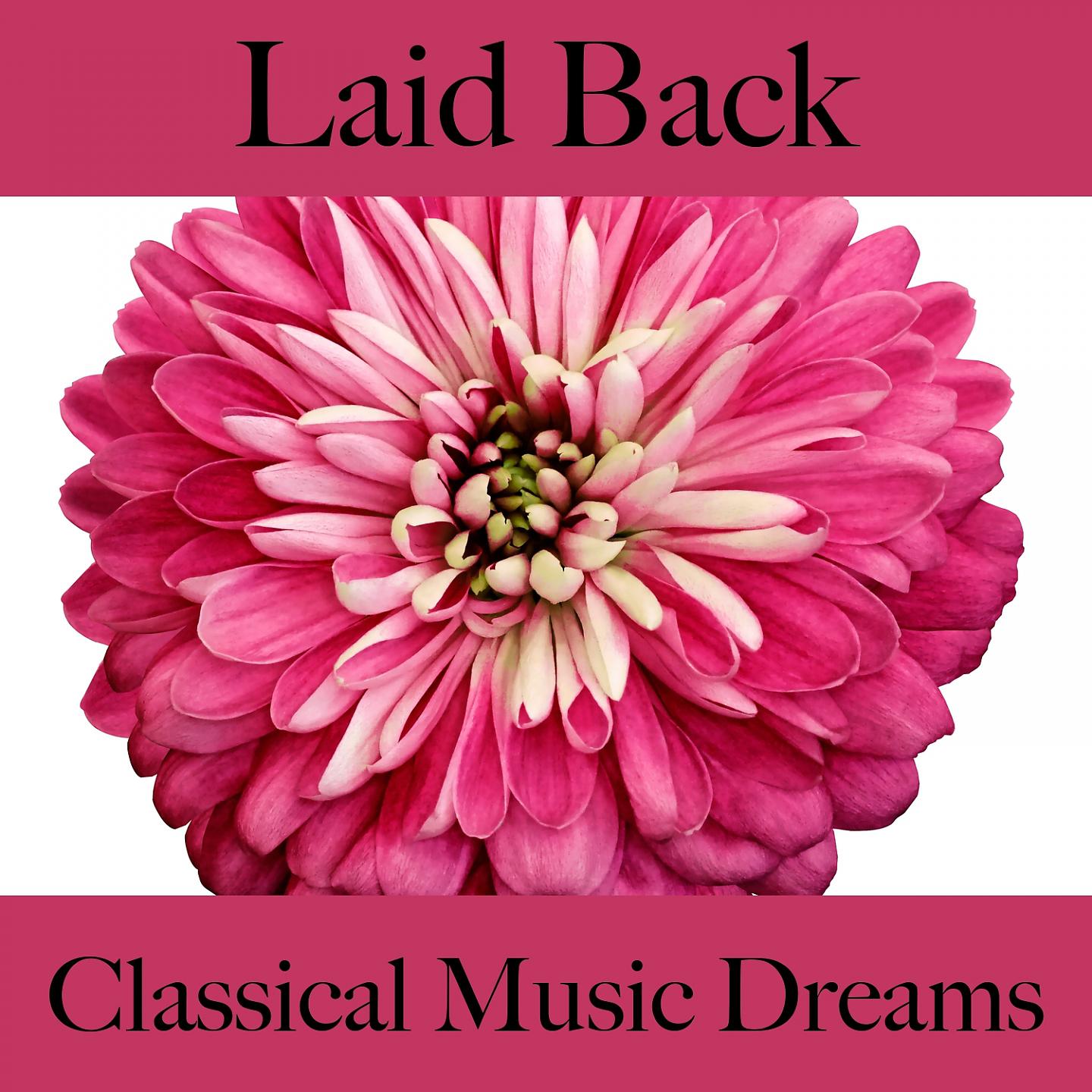 Постер альбома Laid Back: Classical Music Dreams - The Best Sounds For Relaxation