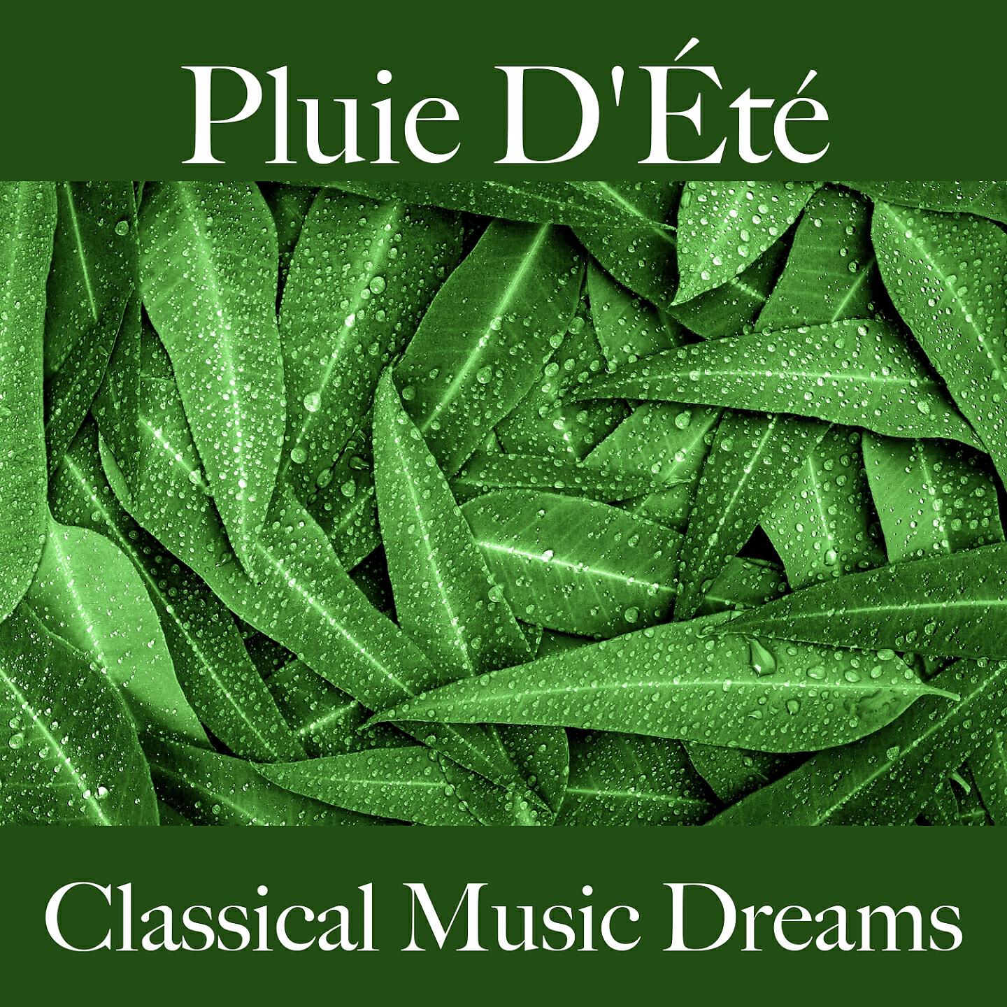 Philharmonia Orchestra - Symphony No. 38 in D Major, K. 503 'Prague': I. Adagio - Allegro