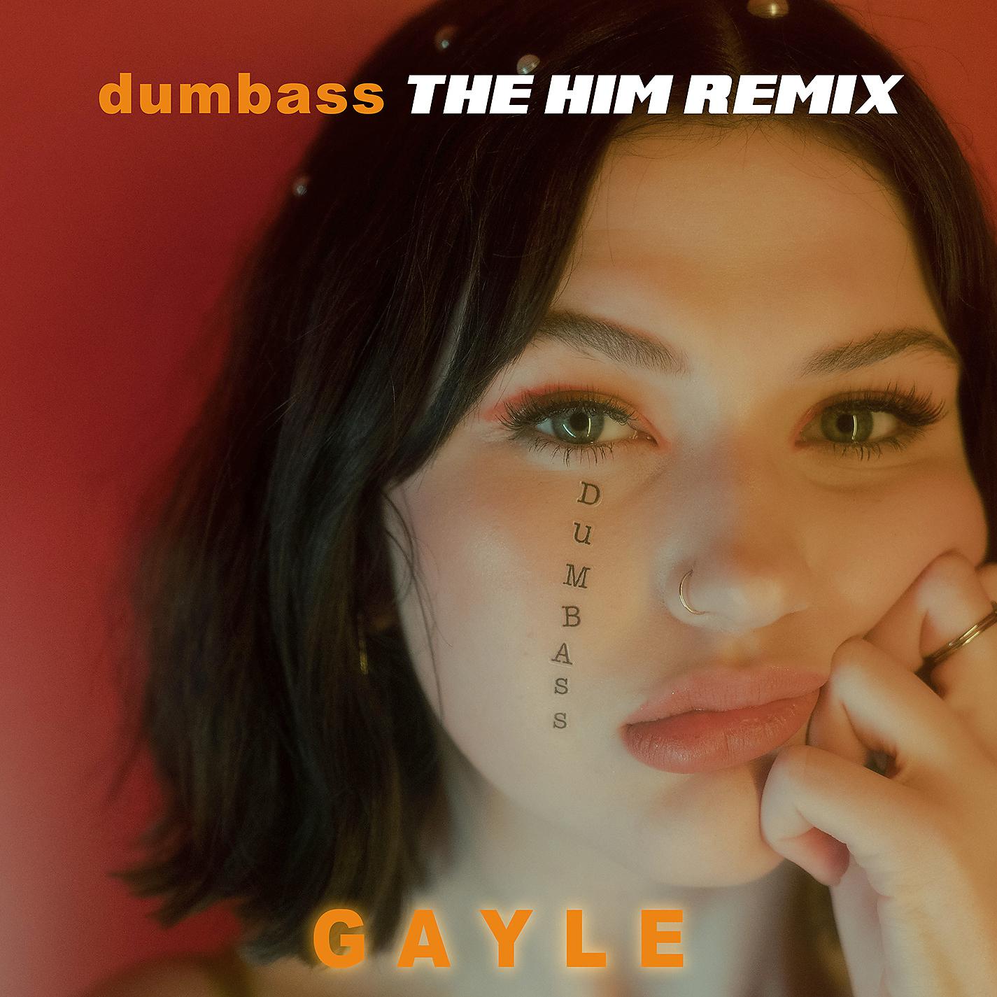 Постер альбома dumbass (The Him Remix)