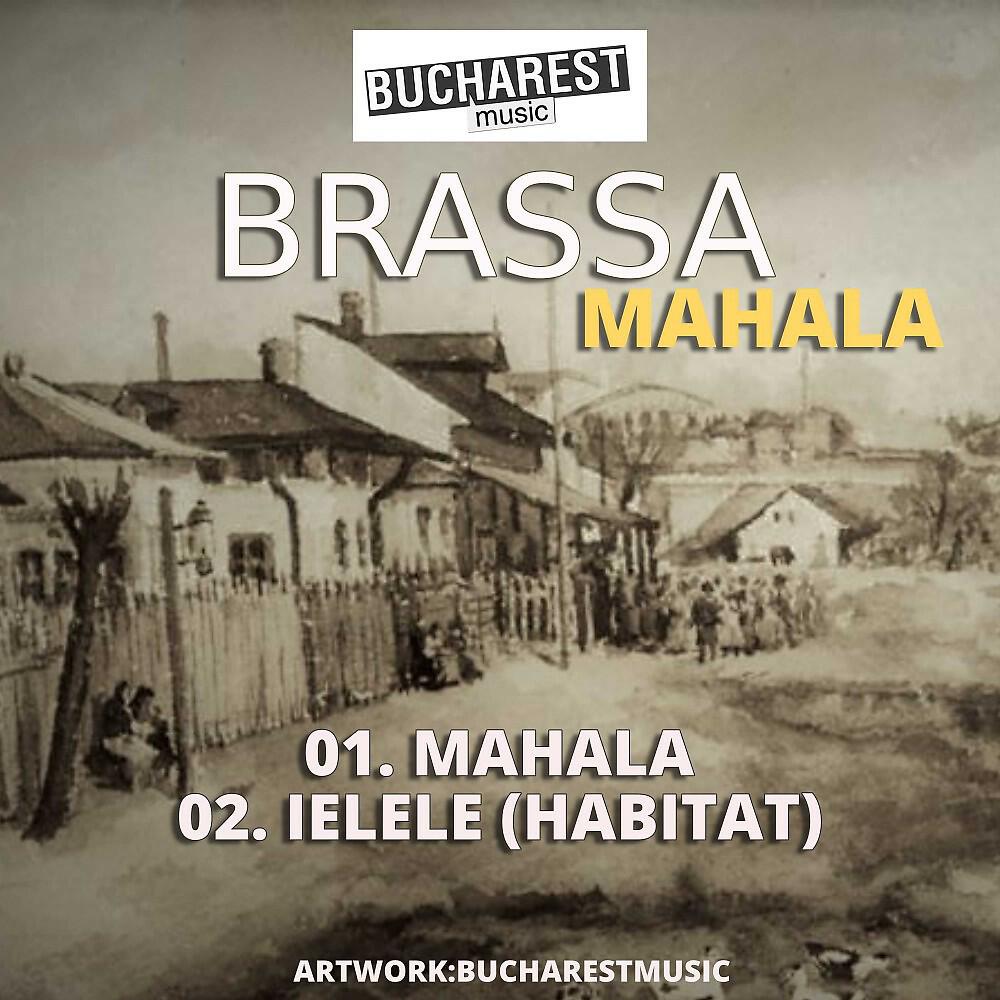 Brassa - Ielele (Habitat)