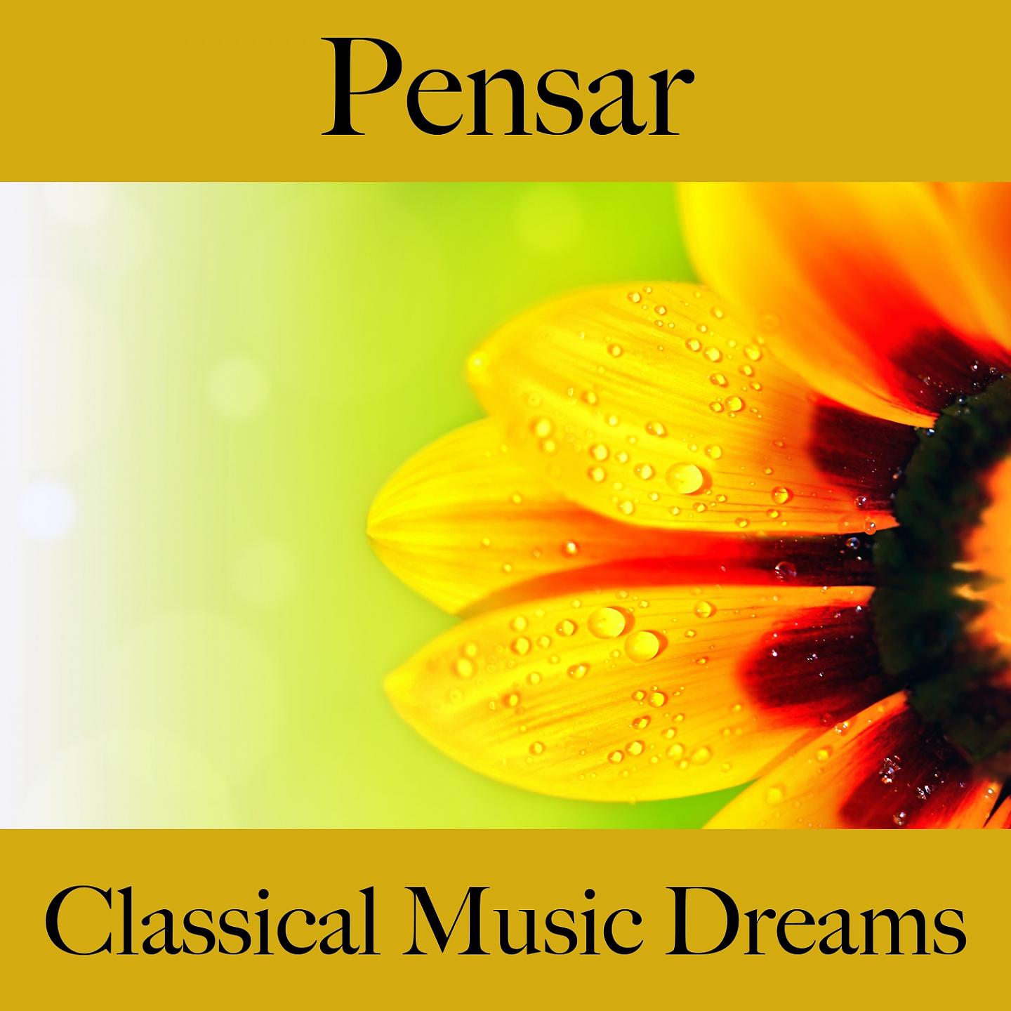 Постер альбома Pensar: Classical Music Dreams - La Mejor Música Para Descansarse