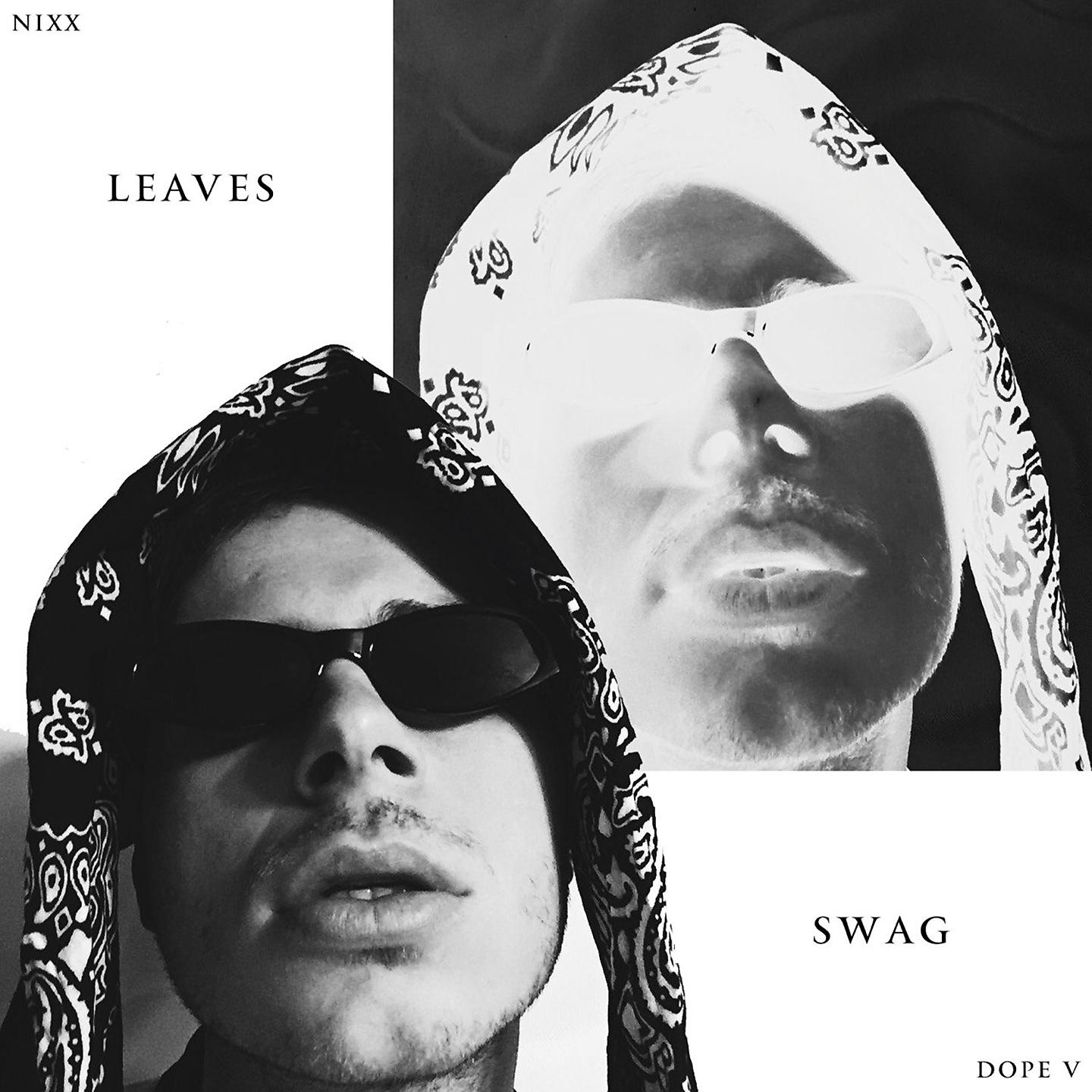 Постер альбома Leaves Swag